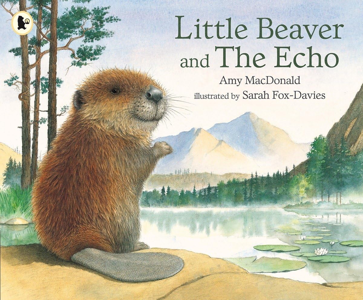Little Beaver and the Echo,Used