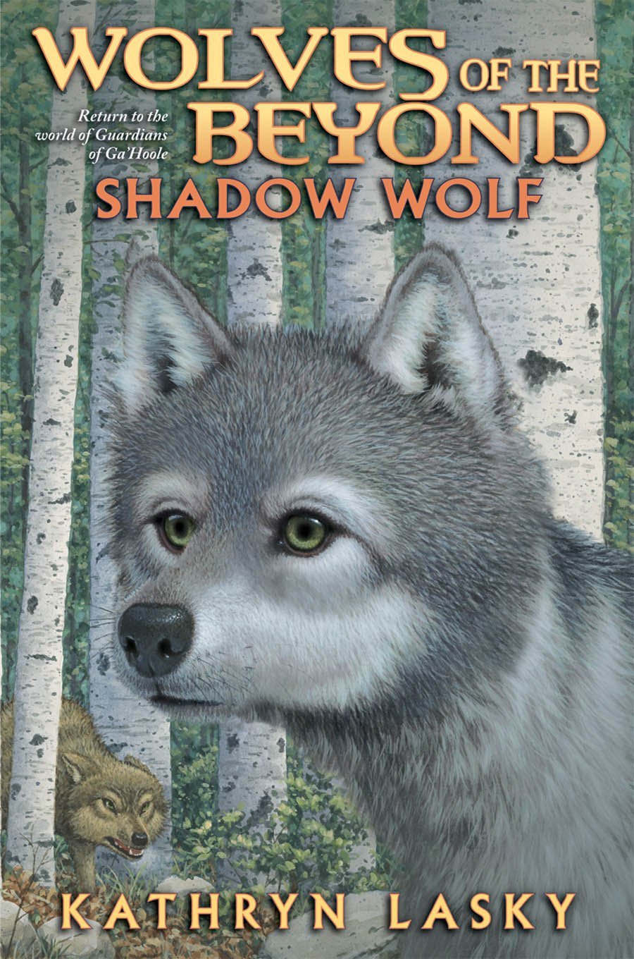 Shadow Wolf (Wolves Of The Beyond, Book 2),Used