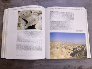 A Survey of the New Testament: 5th Edition,New