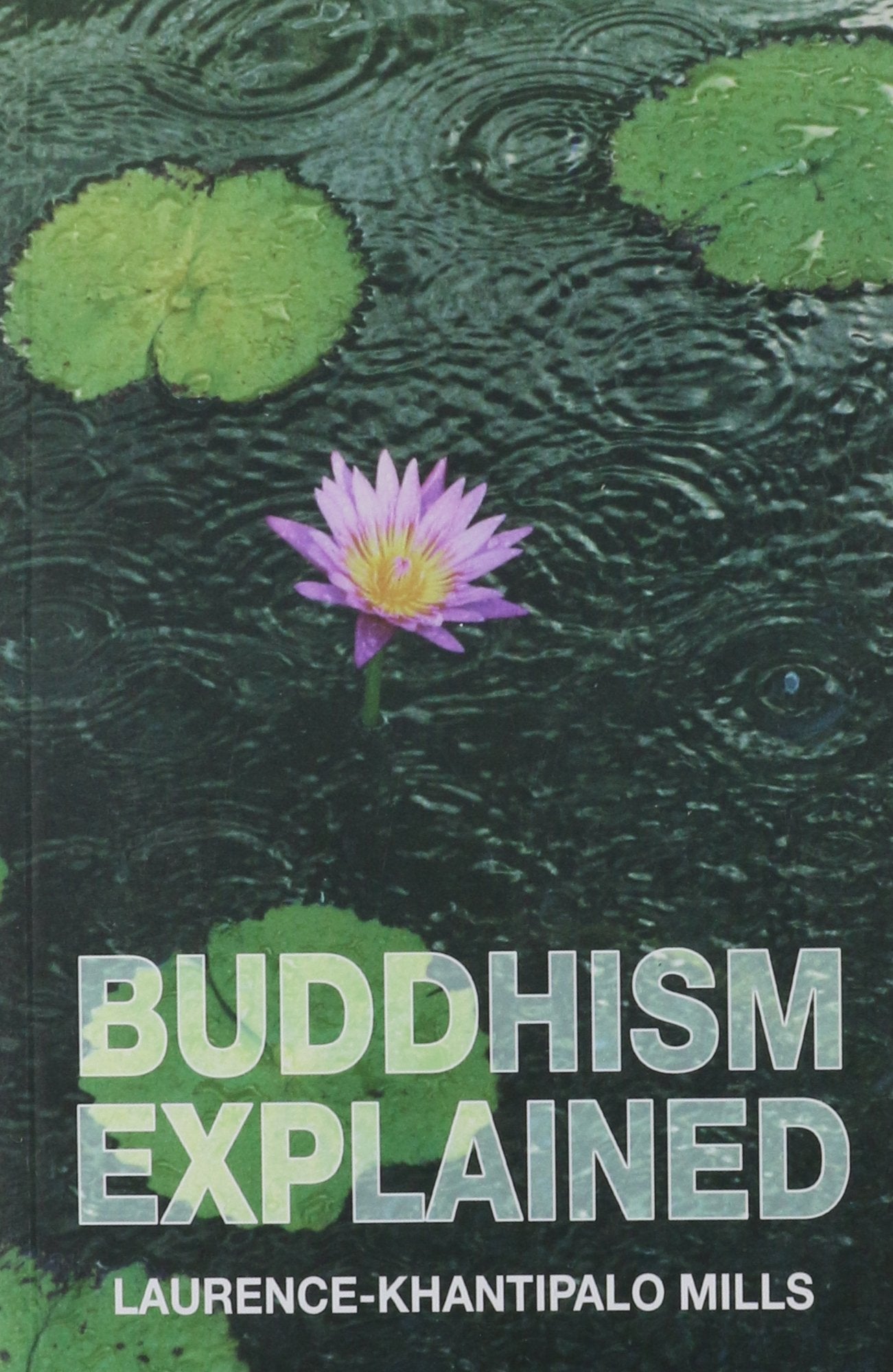 Buddhism Explained,New