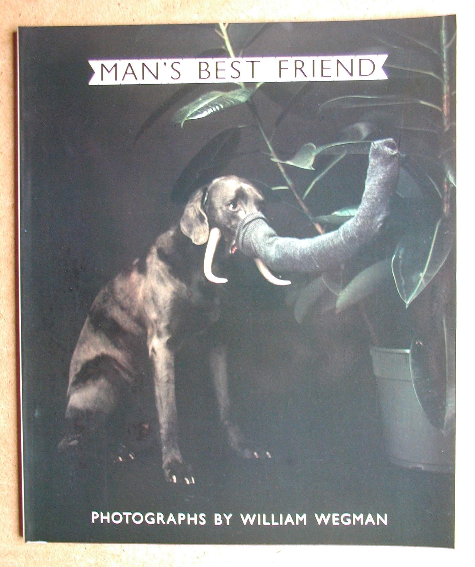 Man's Best Friend,Used
