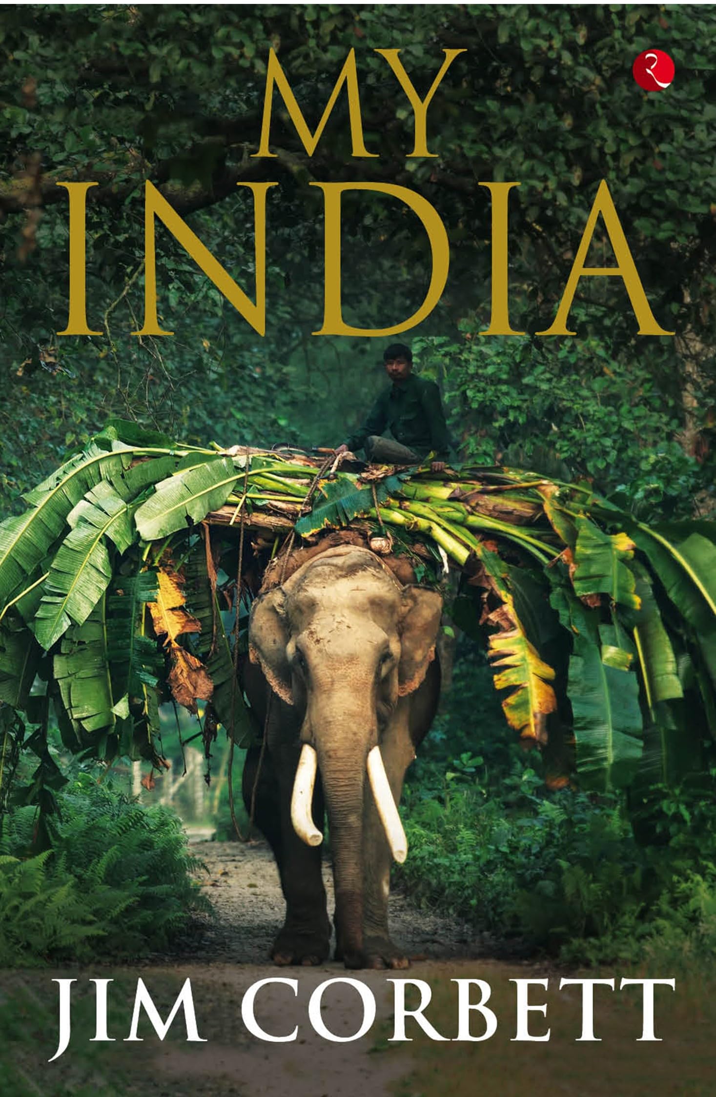 My India