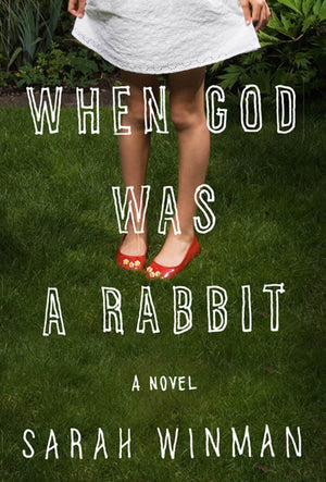 When God Was A Rabbit: A Novel