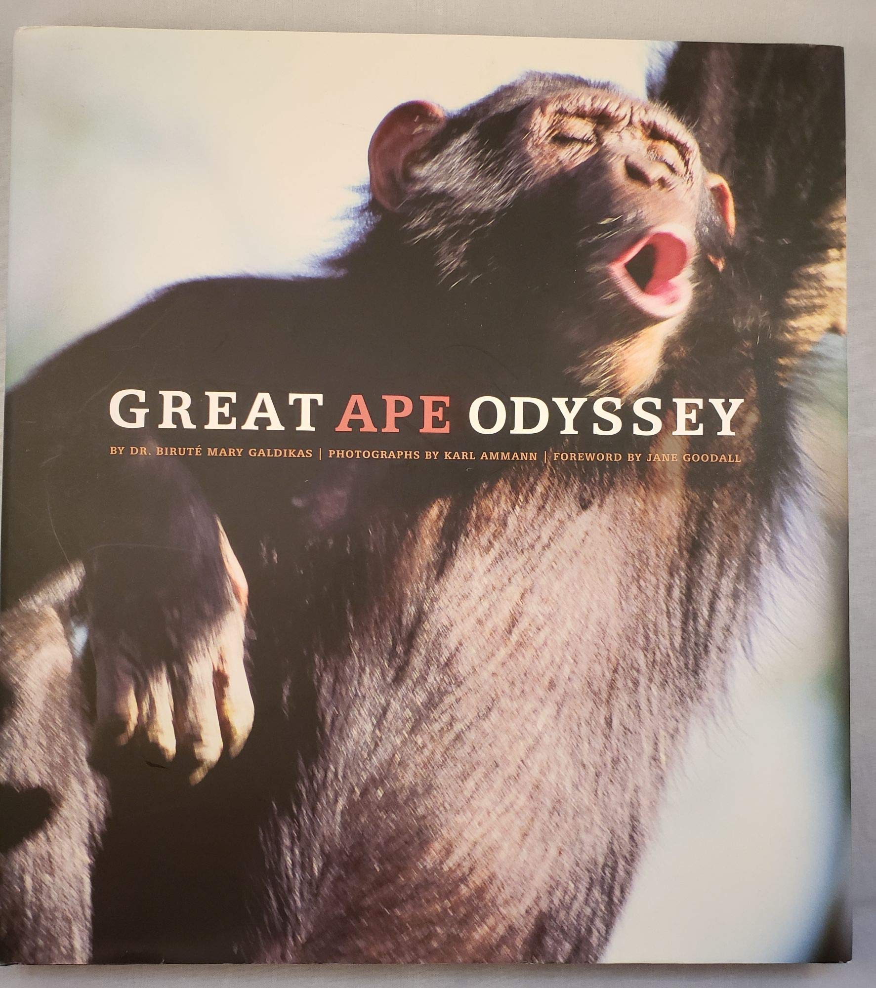 Great Ape Odyssey