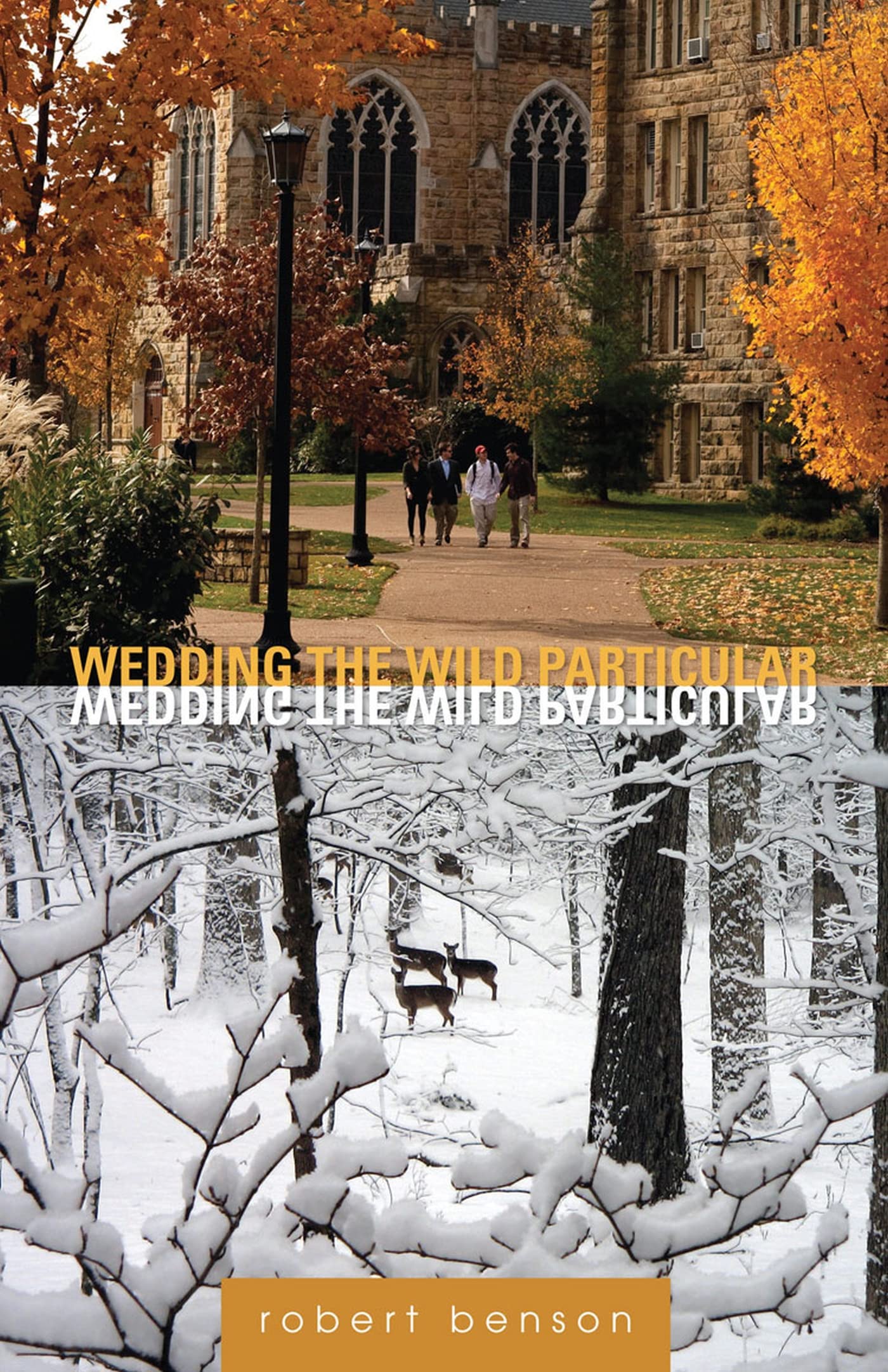 Wedding The Wild Particular: Essays-used