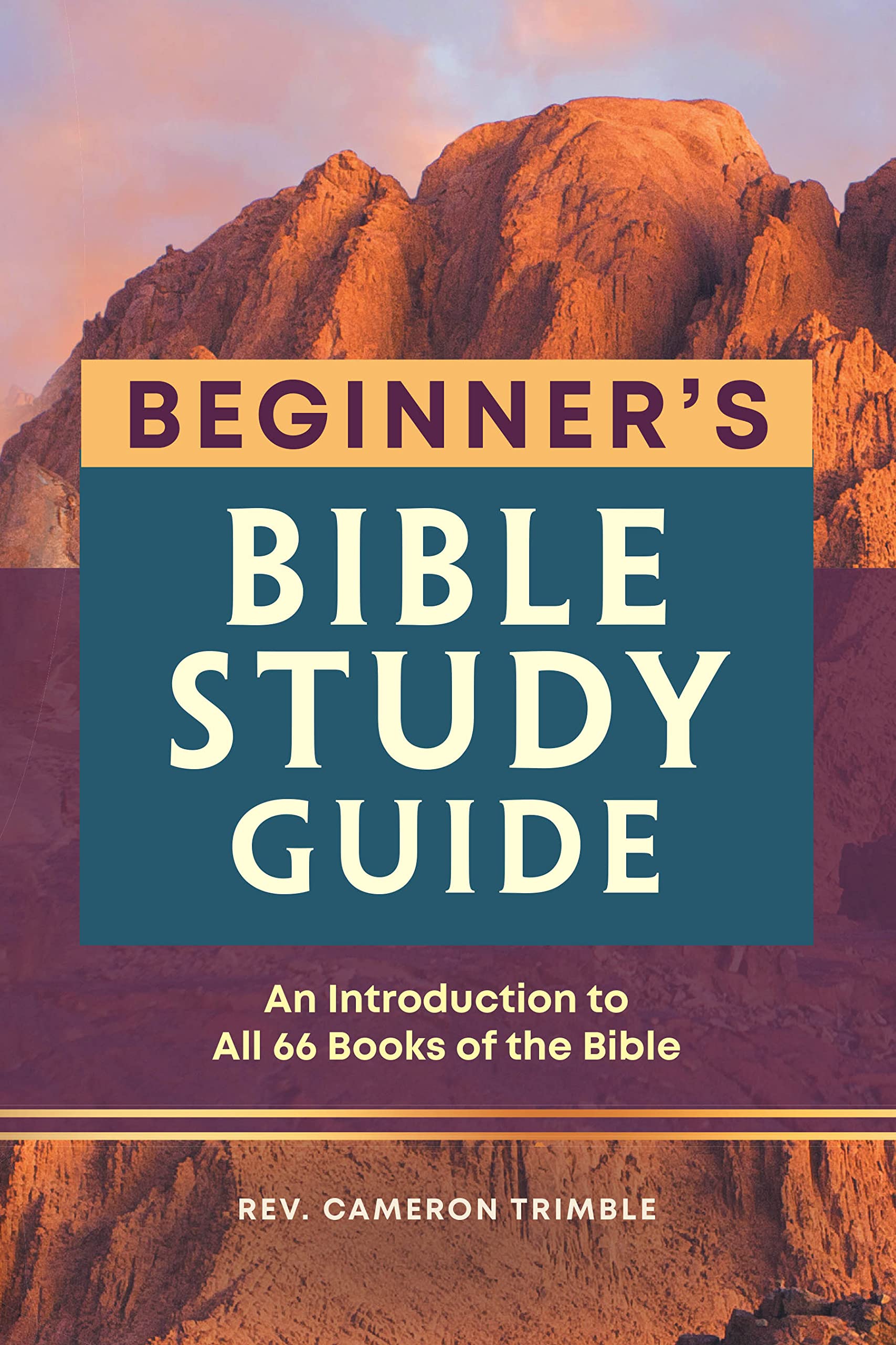 The Beginner'S Bible Study Guide: An Introduction To All 66 Books Of The Bible,Used