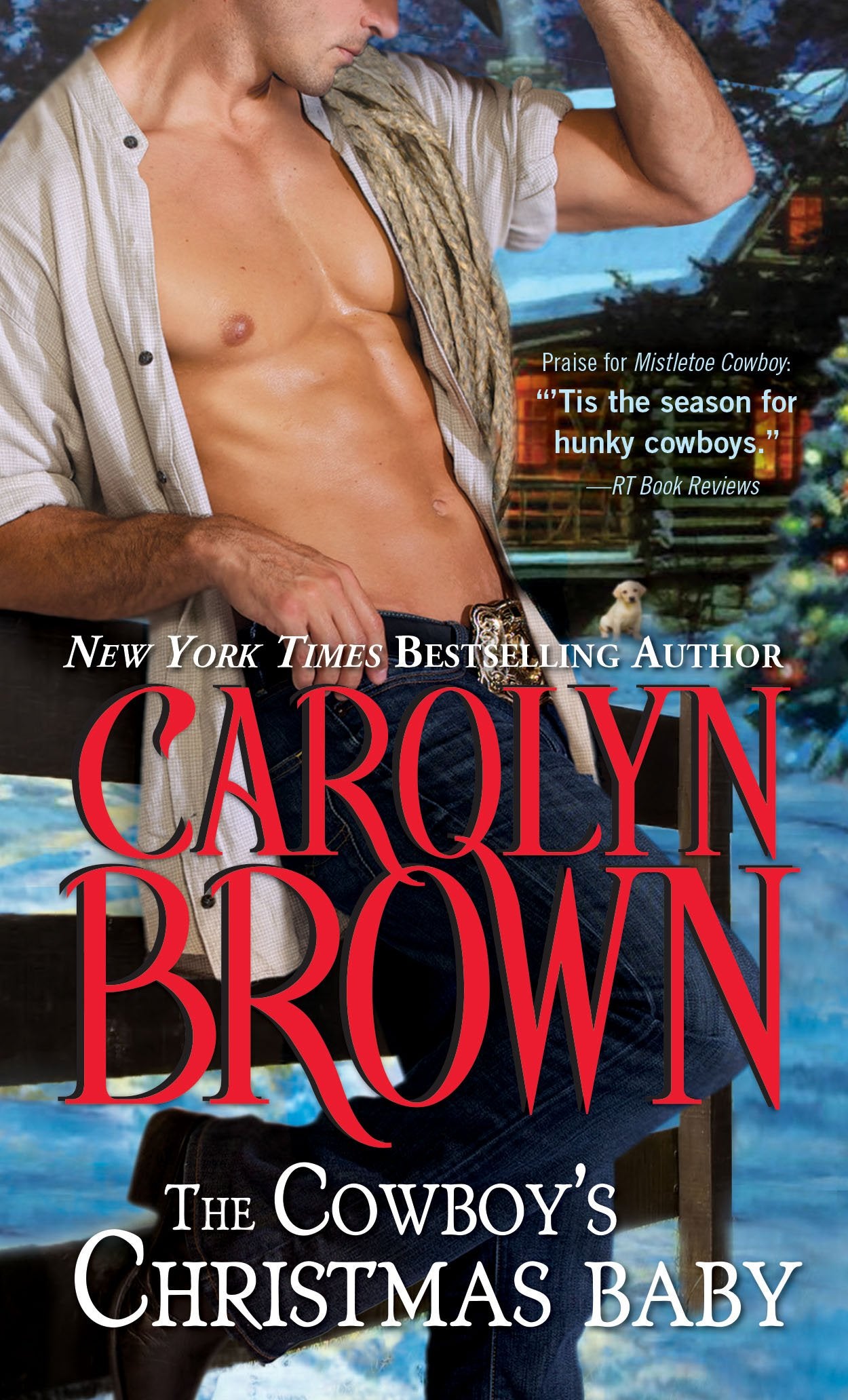 The Cowboy's Christmas Baby (Cowboys & Brides, 2),Used