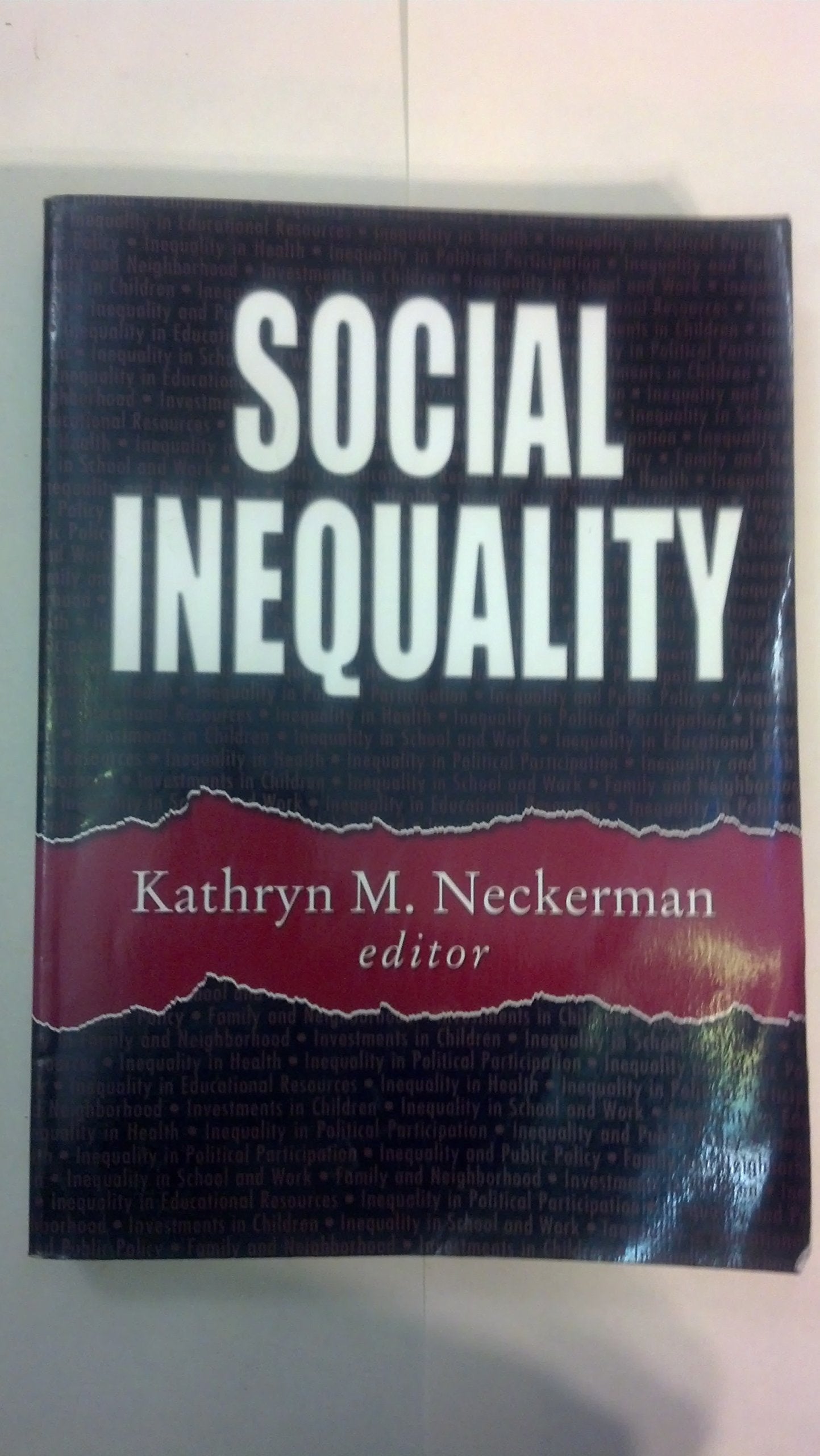 Social Inequality,New