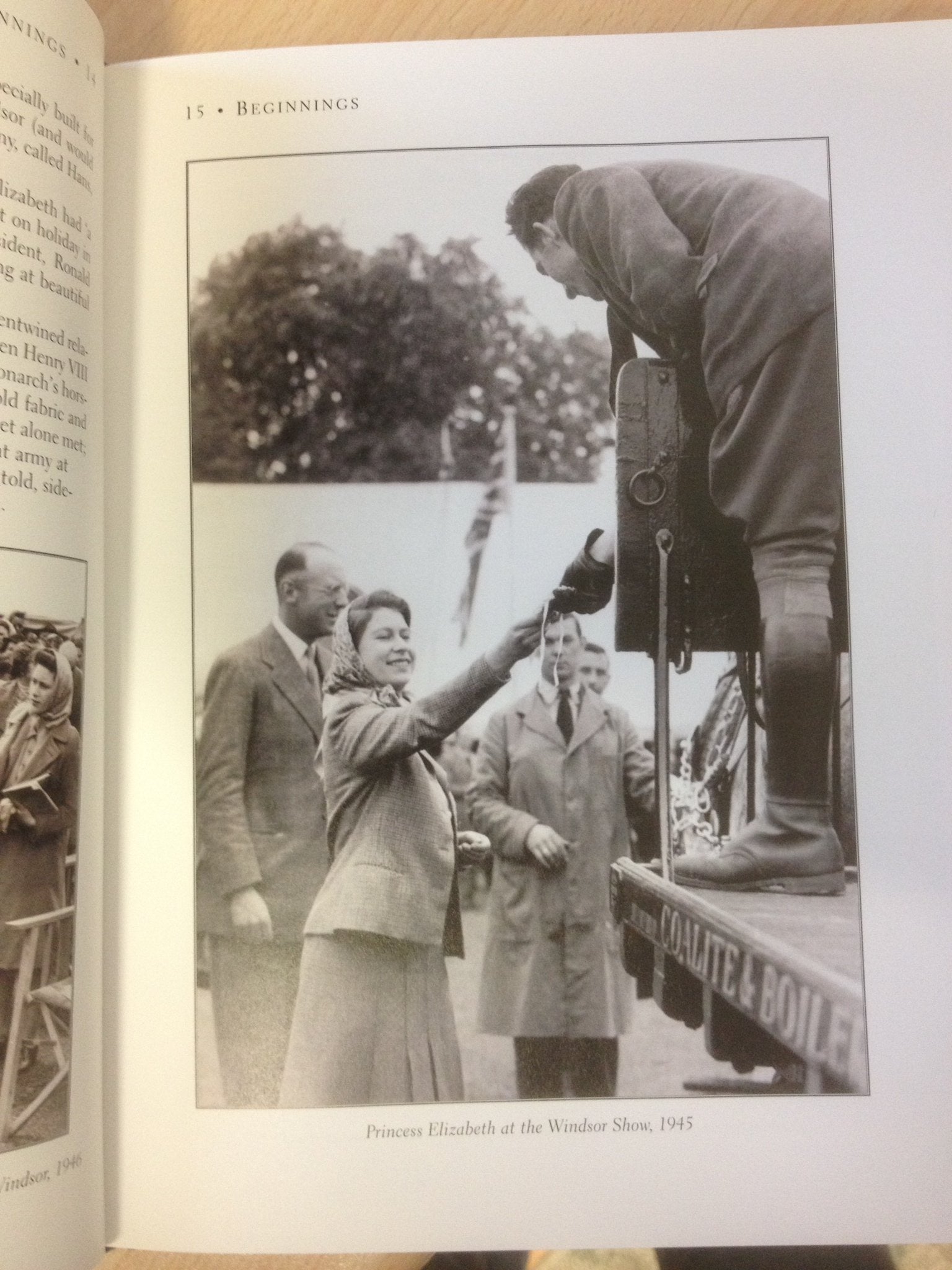 All the Queen's Horses: A Celebration of Her Majesty's Love of the Horse,Used