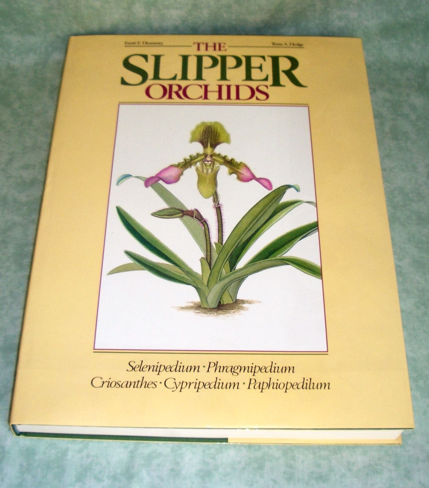 The slipper orchids,Used