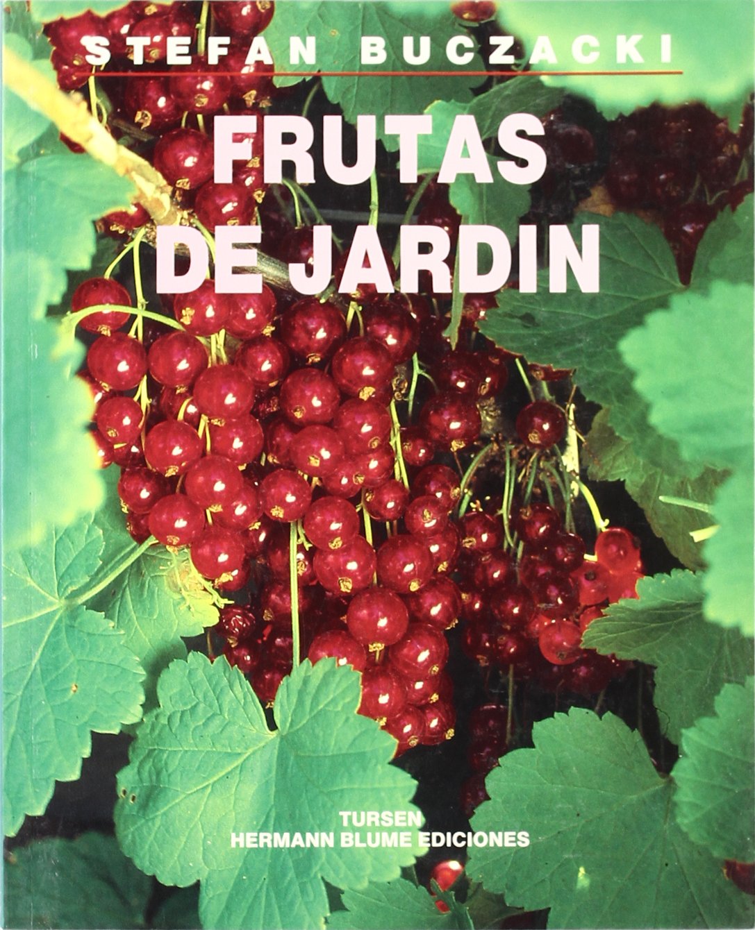 Frutas de jardin / Fruit Garden (Viajes) (Spanish Edition),Used