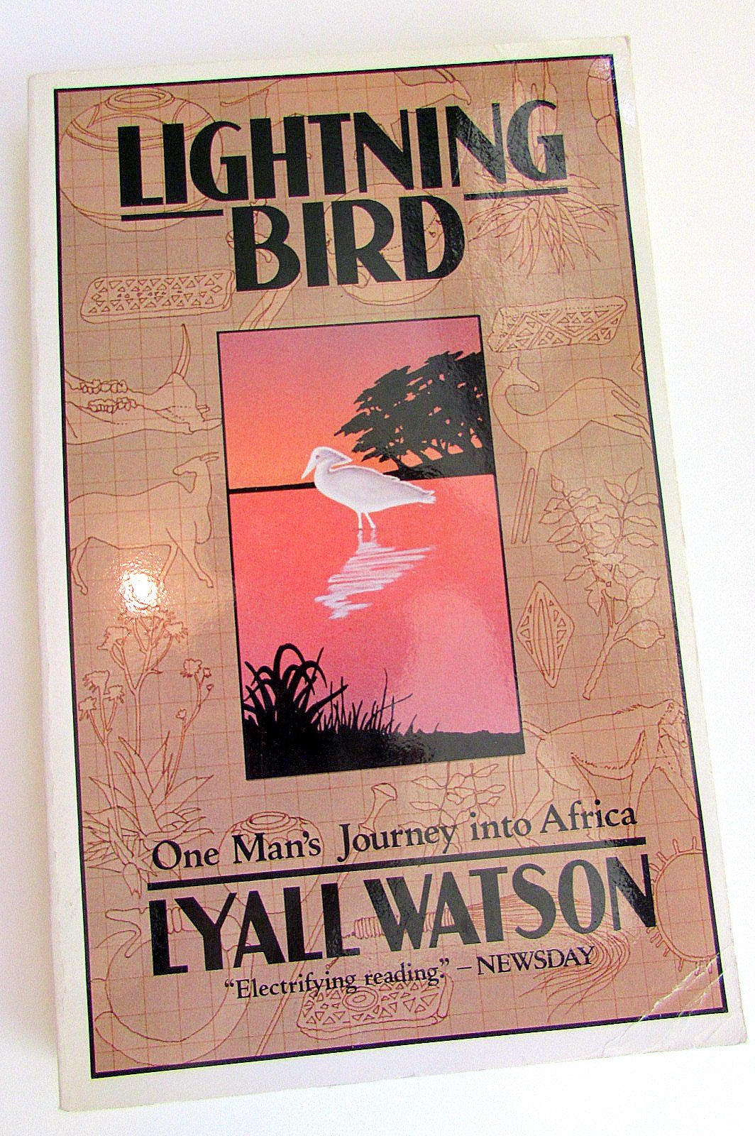 Lightning Bird: The Story Of One Man'S Journey Into Africa'S Past,Used