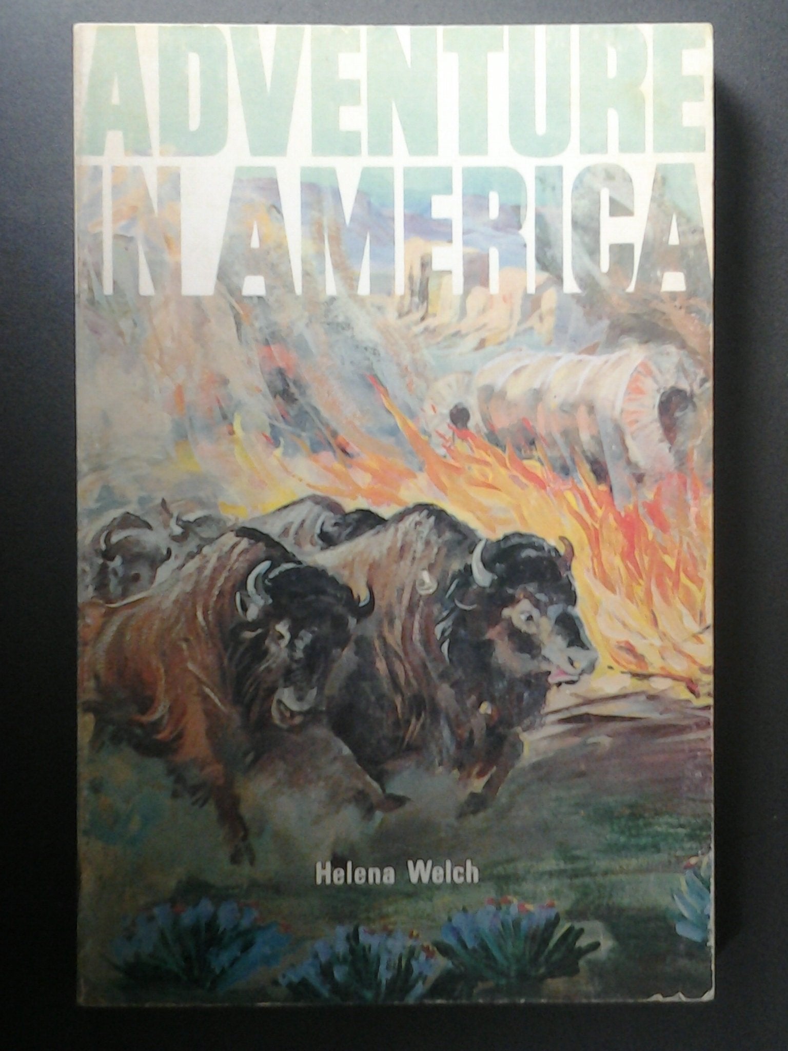Adventure in America (A Crown book),Used