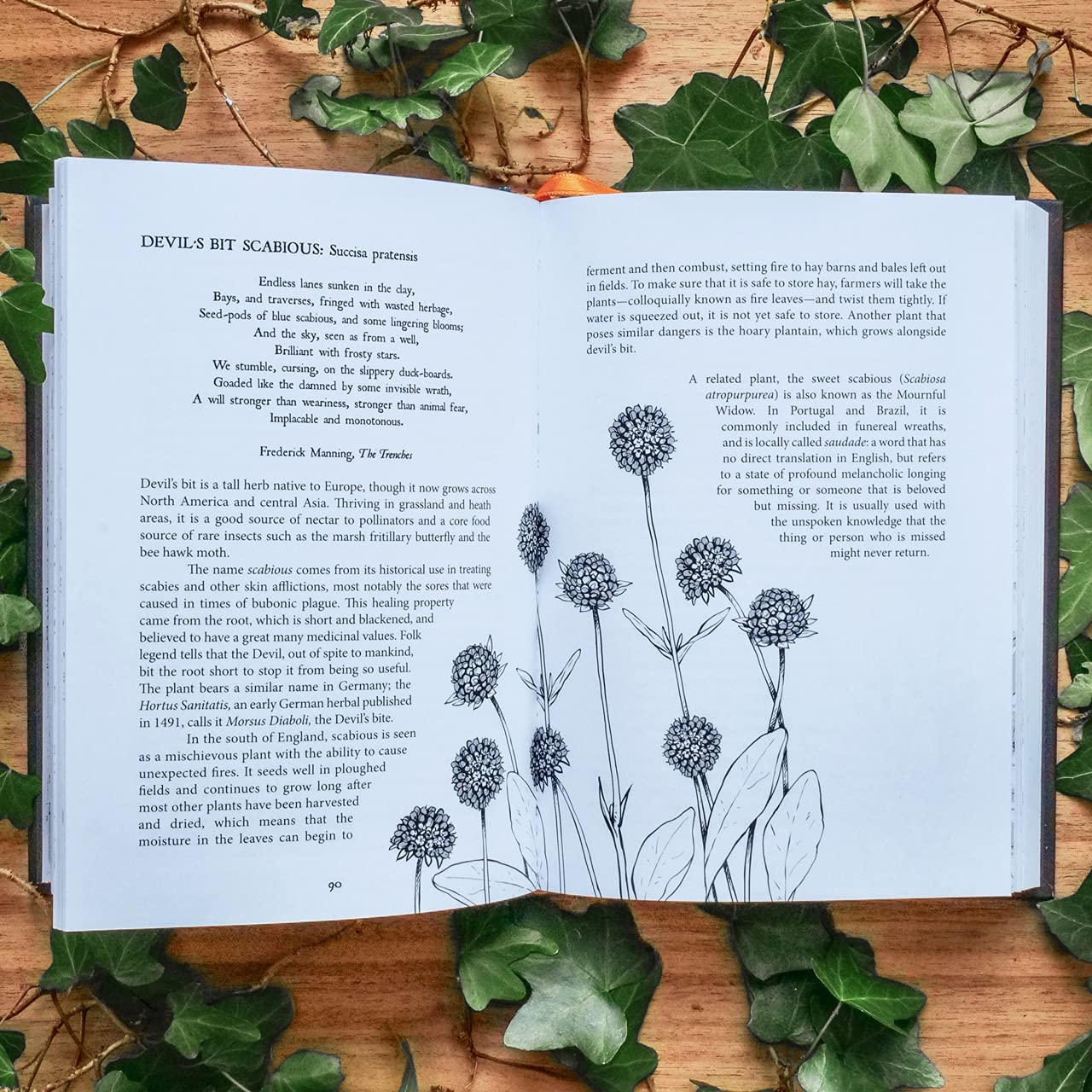 Botanical Curses and Poisons: The ShadowLives of Plants,New