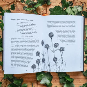 Botanical Curses and Poisons: The ShadowLives of Plants,New
