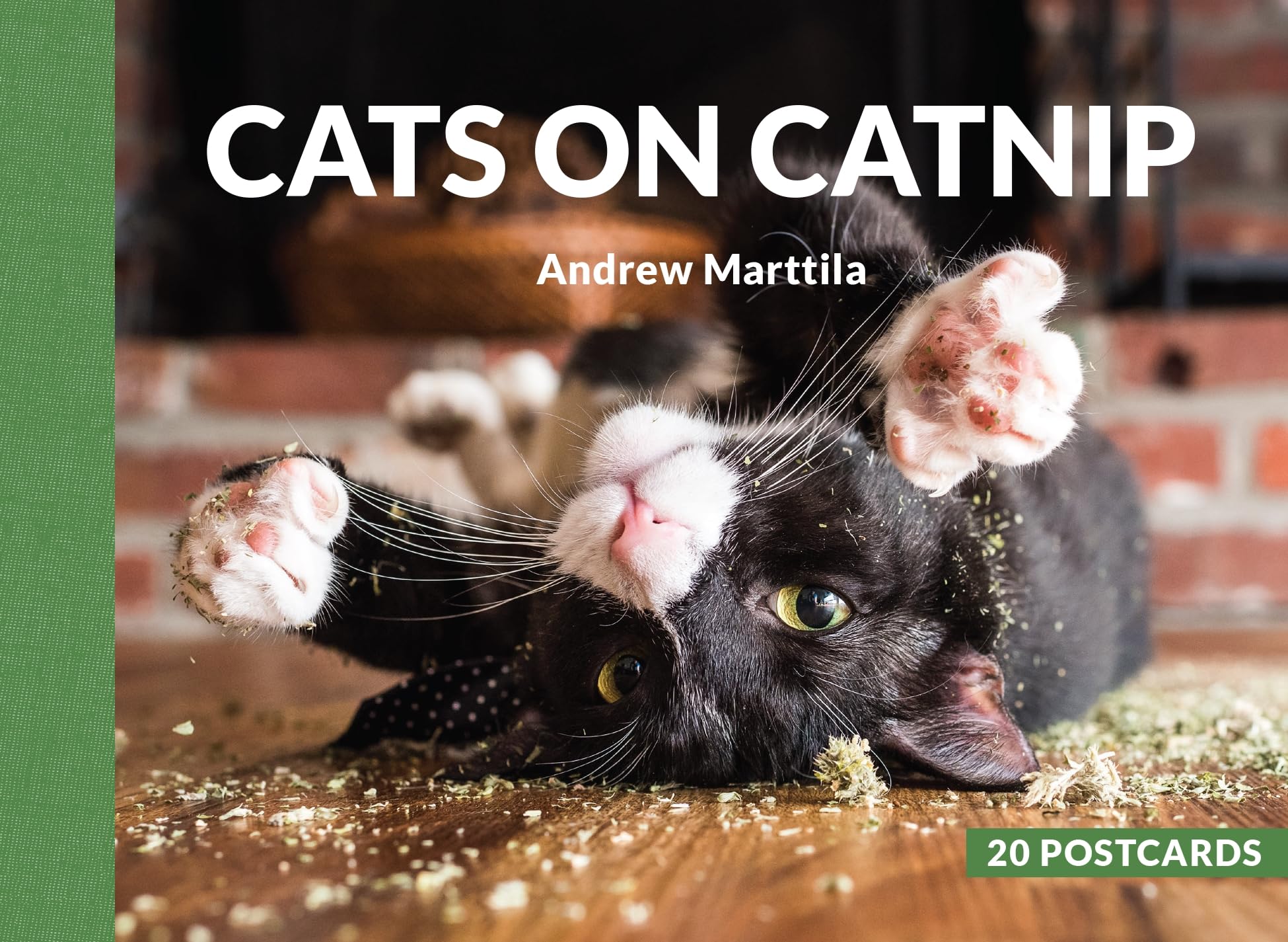 Cats on Catnip: 20 Postcards,Used