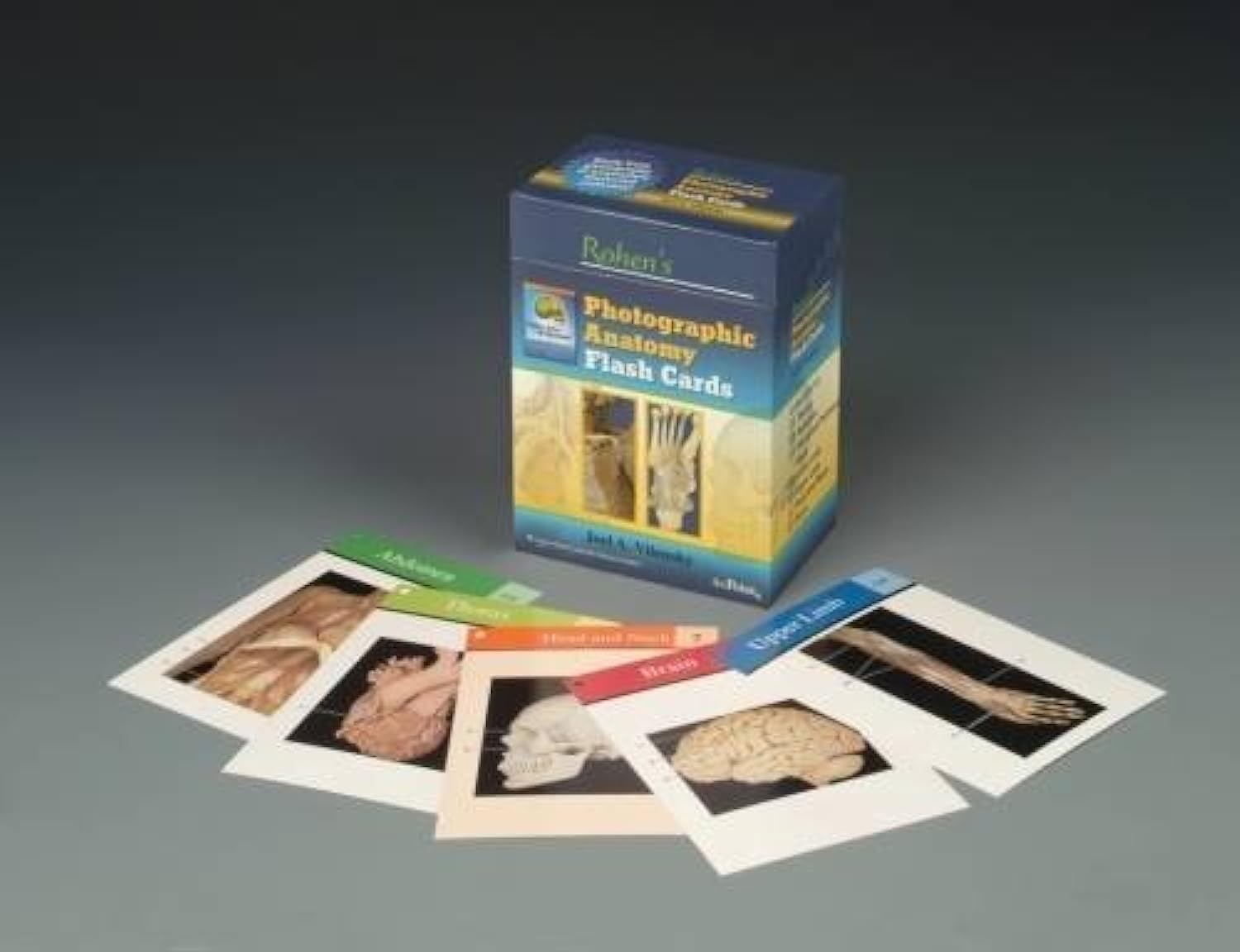 Rohens Photographic Anatomy Flash Cards,New