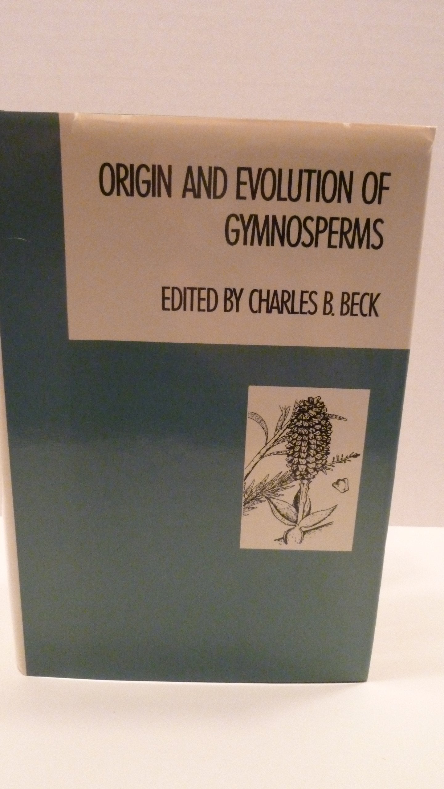 Origin and Evolution of Gymnosperms,Used