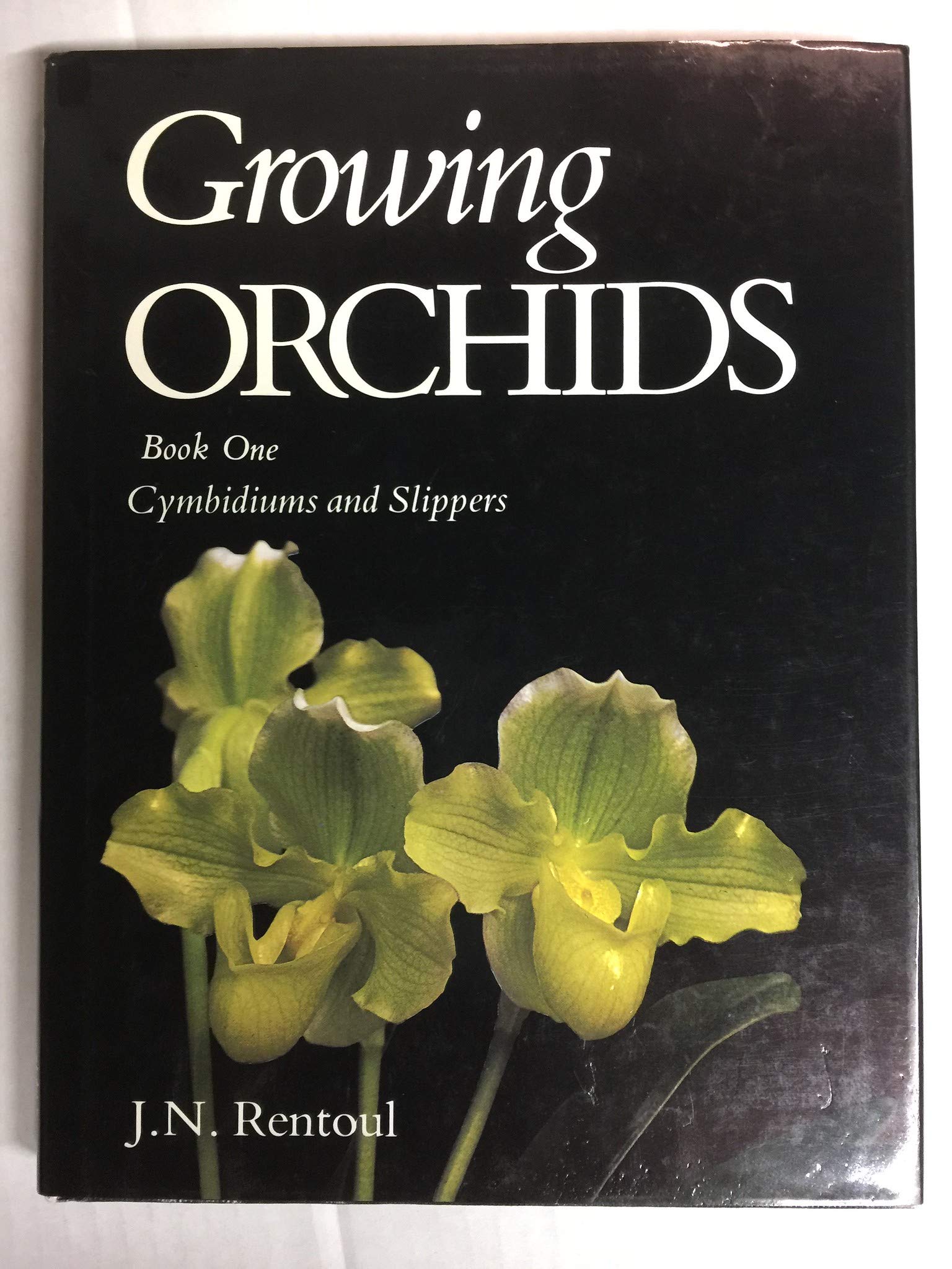 Growing Orchids: Cymbidiums And Slippers,New