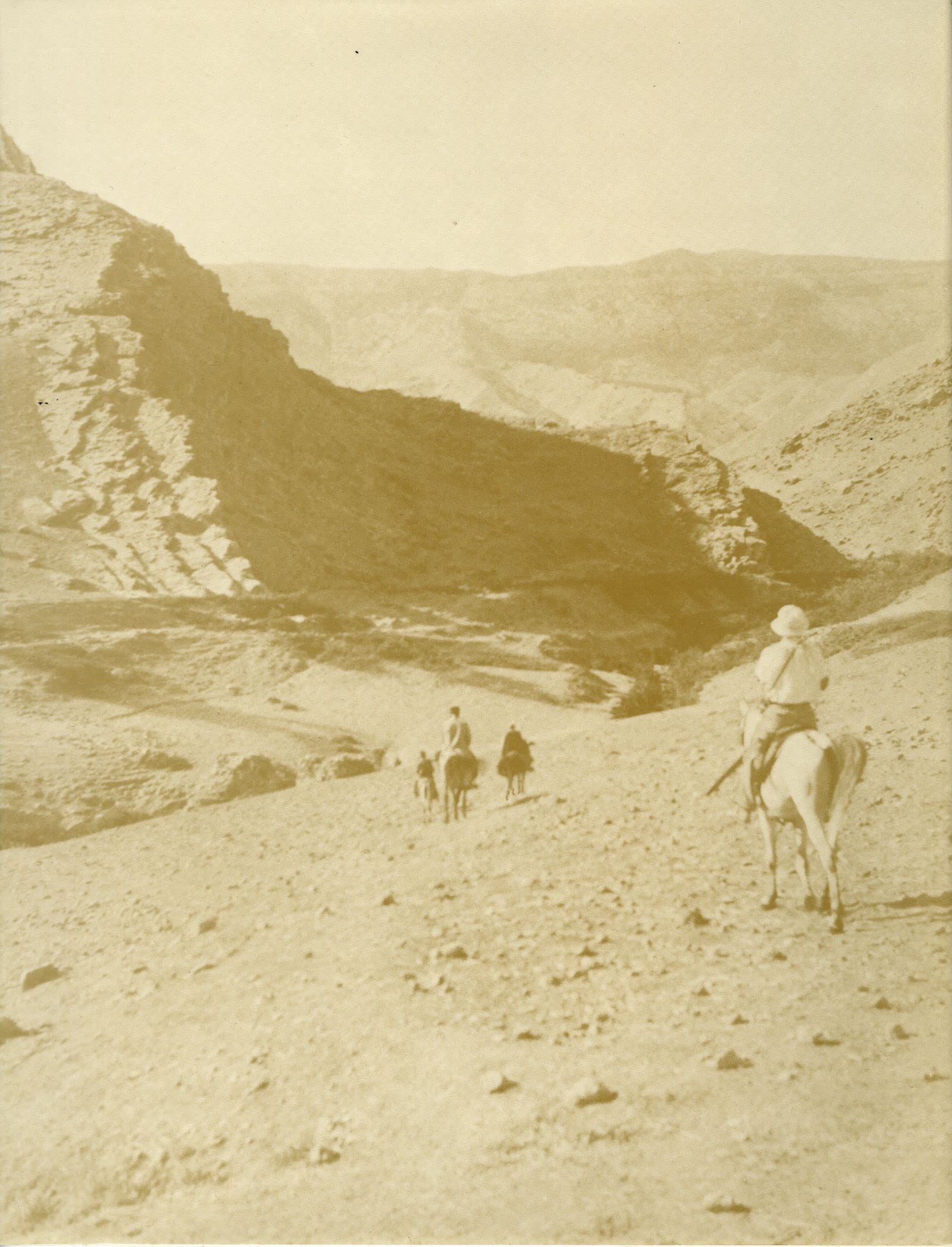 The Holmes Expedition to Luristan (Oriental Institute Publications),New