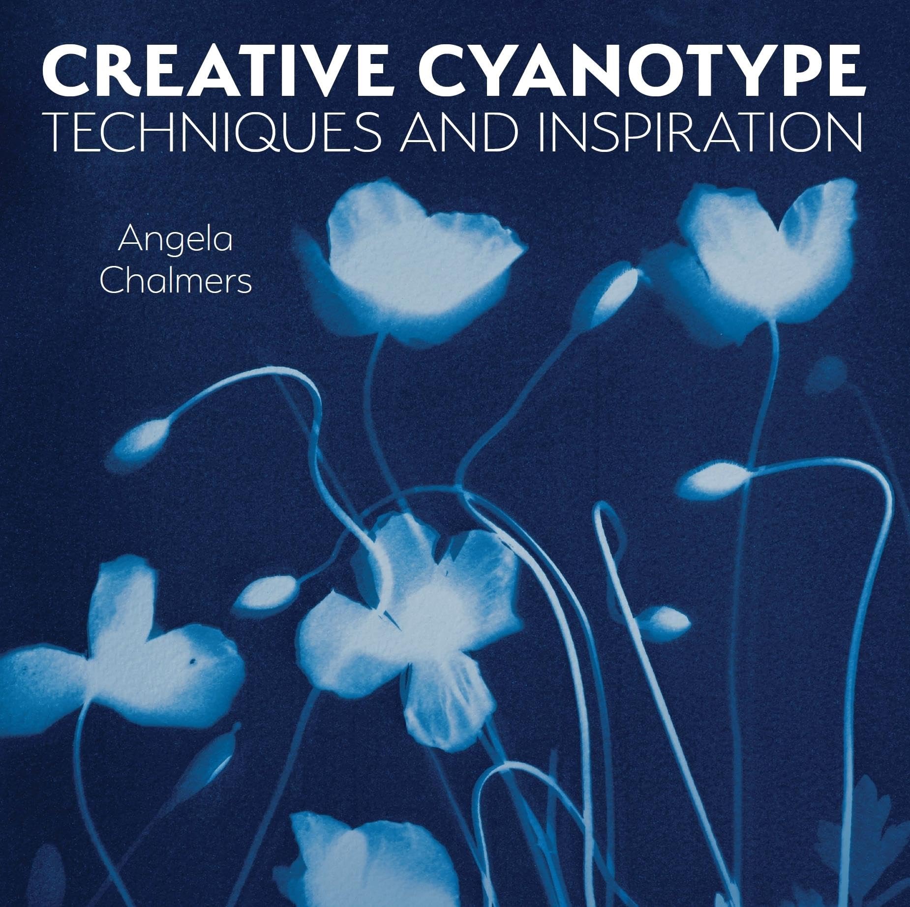 Creative Cyanotype: Techniques And Inspiration,Used