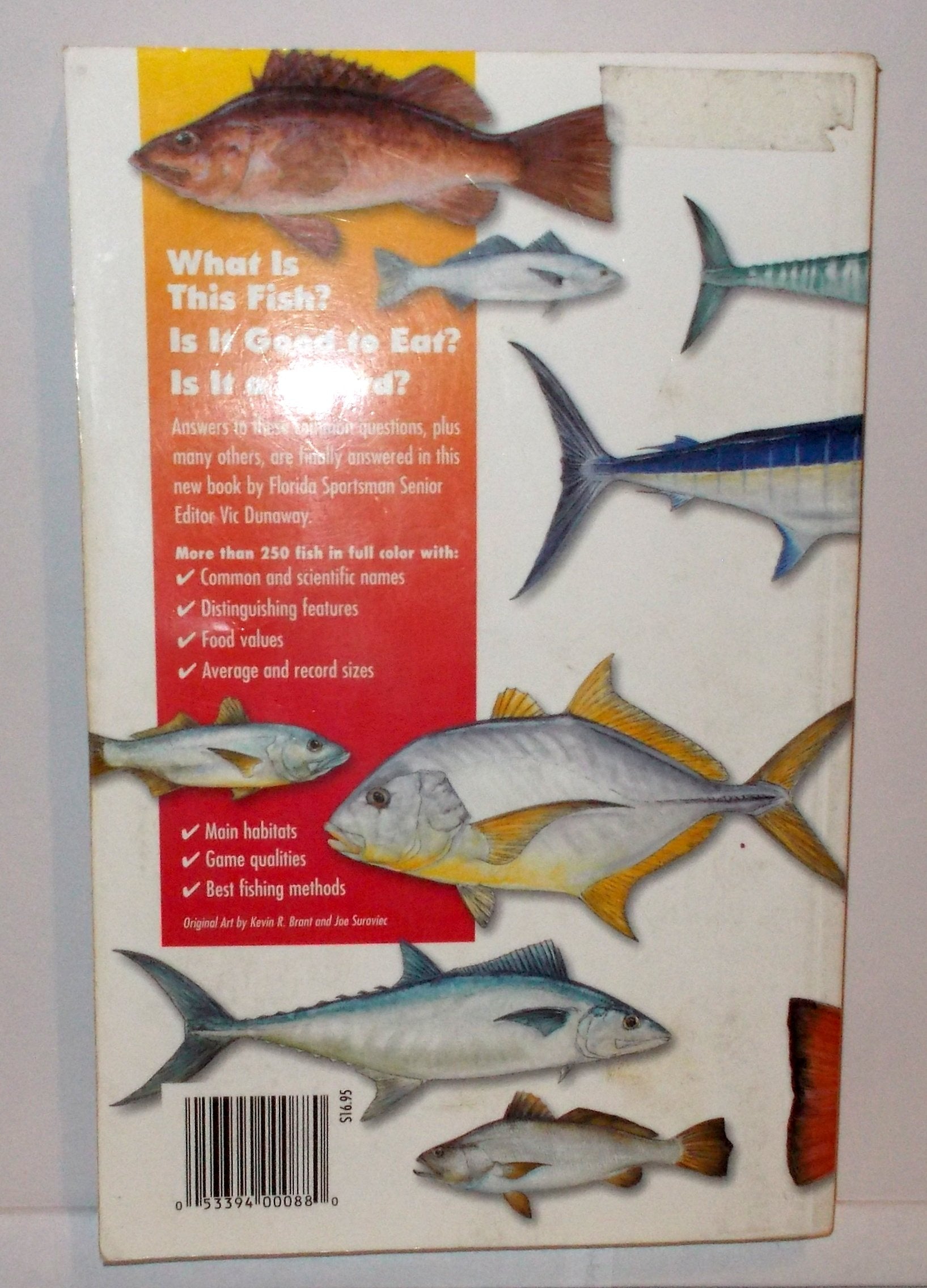Intermedia Outdoors Sport Fish of The Pacific Book,Used