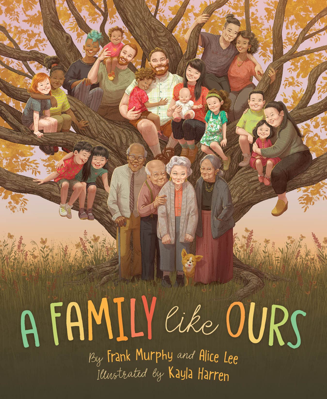 A Family Like Ours,Used