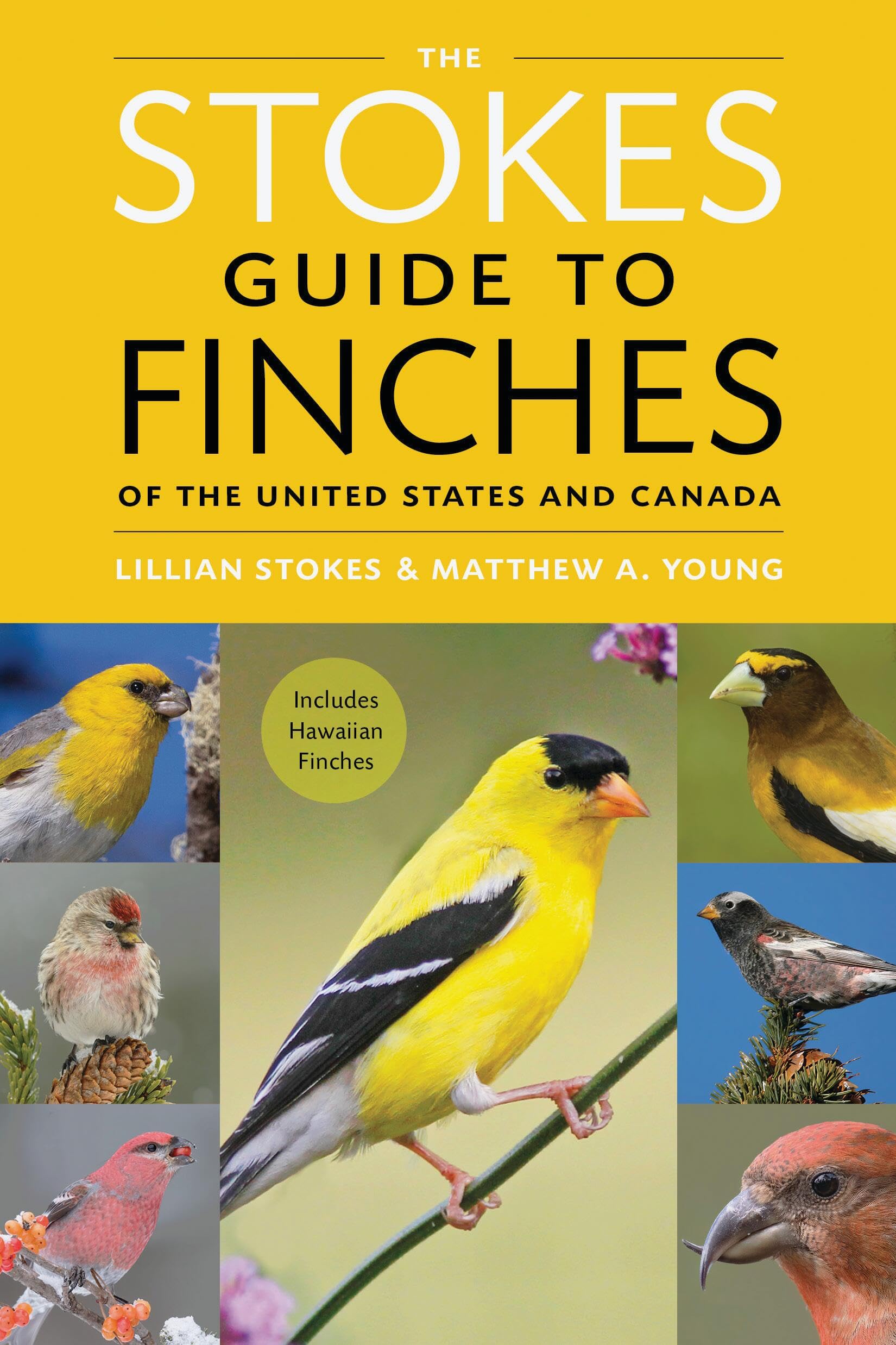 The Stokes Guide To Finches Of The United States And Canada,Used