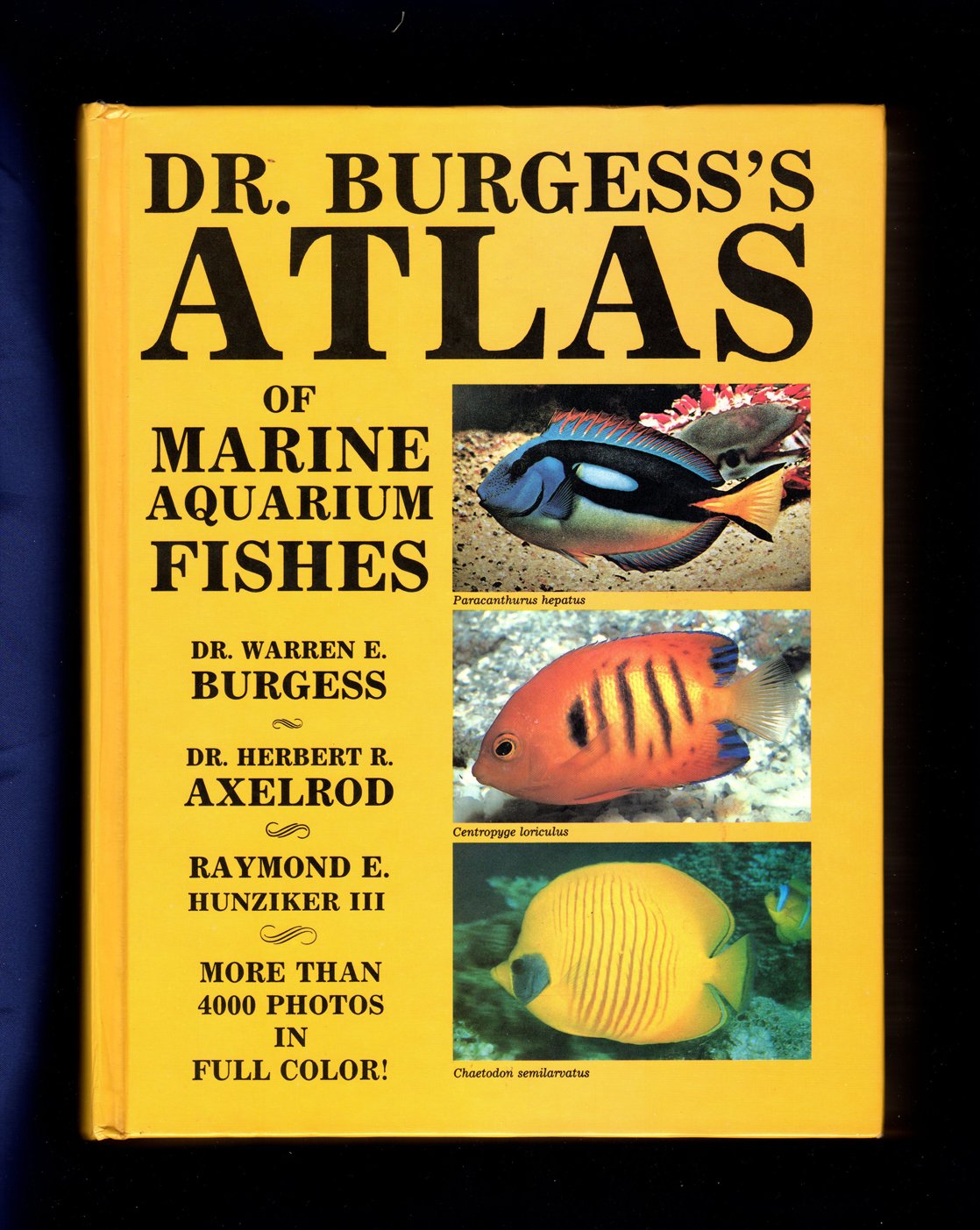 Dr. Burgess'S Atlas Of Marine Aquarium Fishes-new