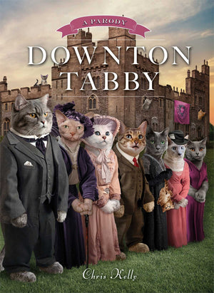 Downton Tabby,Used