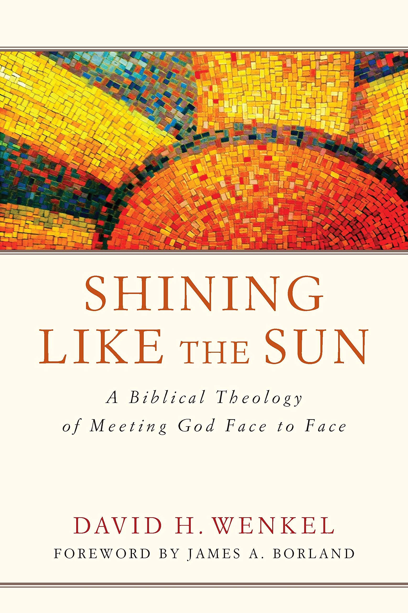 Shining Like the Sun: A Biblical Theology of Meeting God Face to Face,Used