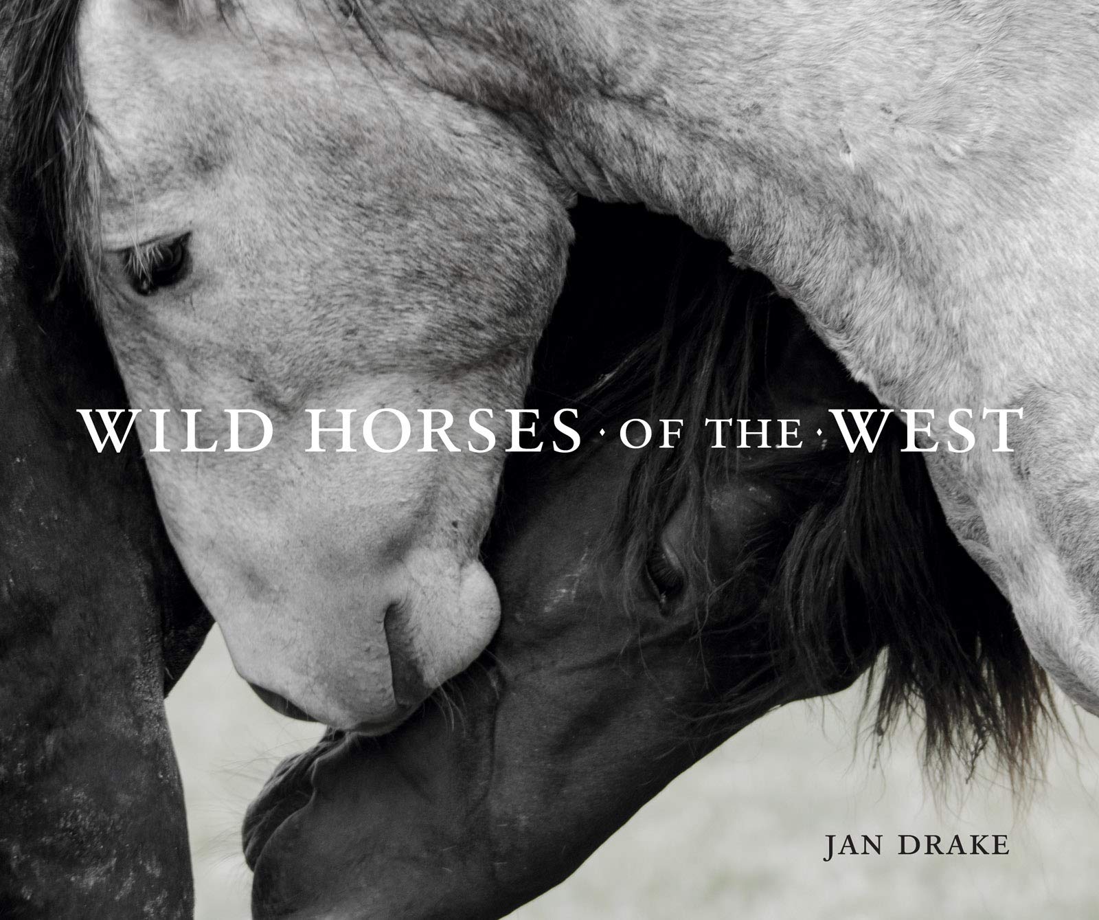 Wild Horses of the West,Used