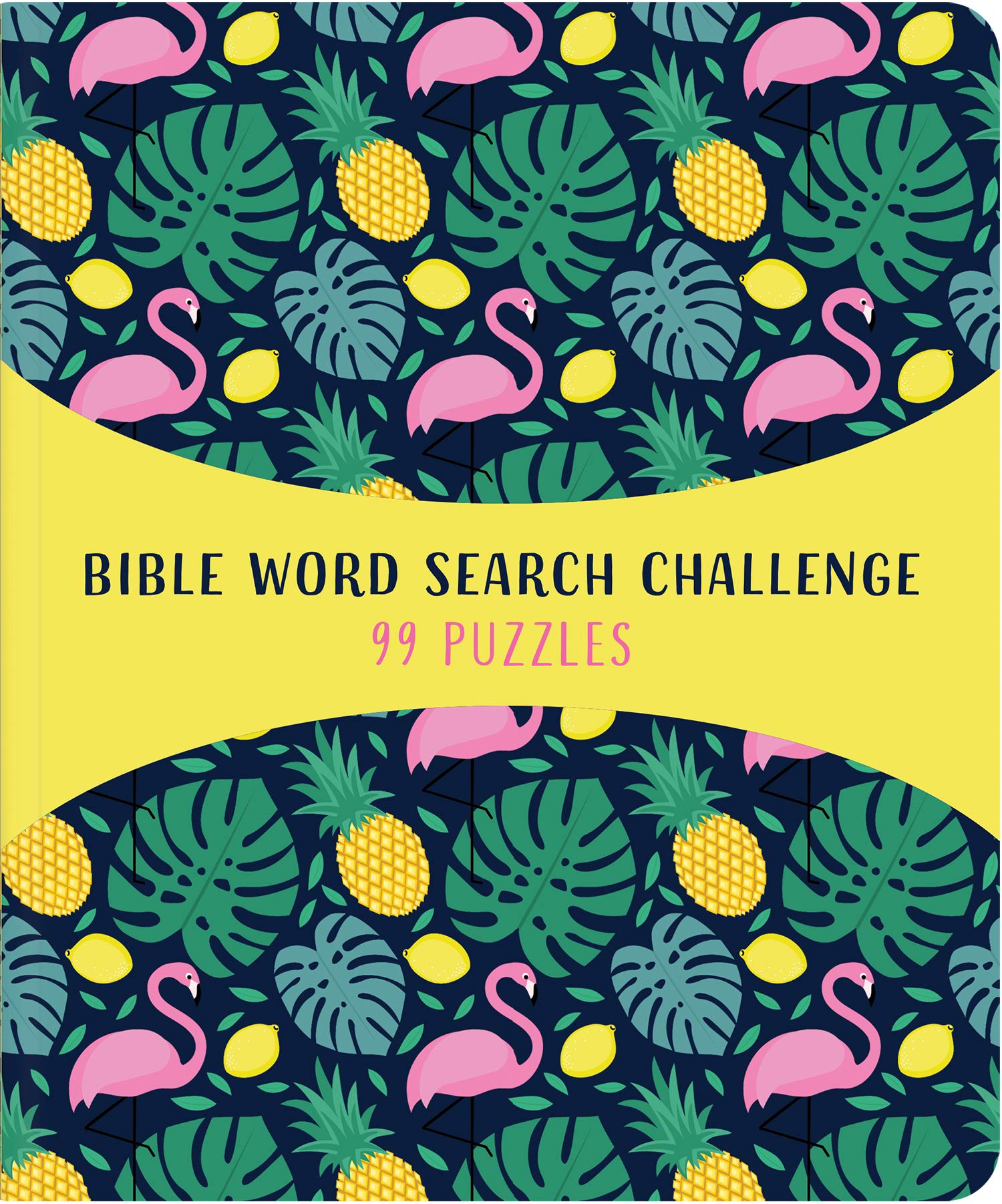 Bible Word Search Challenge: 99 Puzzles!,Used