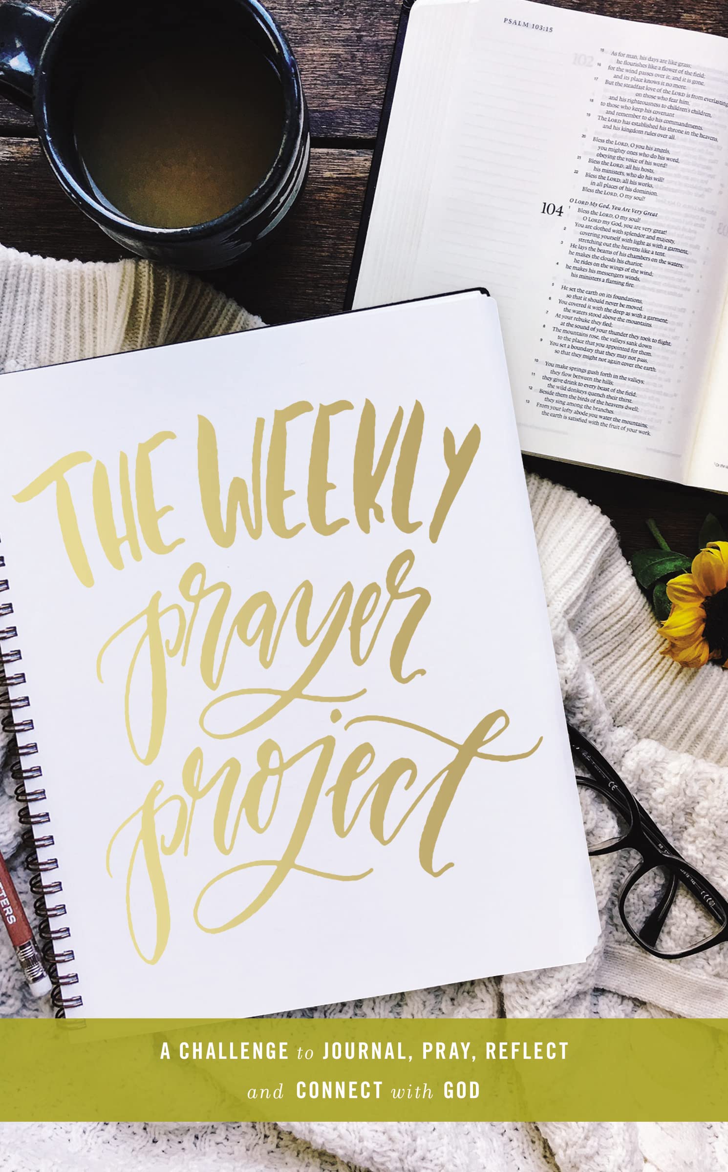The Weekly Prayer Project: A Challenge To Journal, Pray, Reflect, And Connect With God (The Weekly Project Series),New