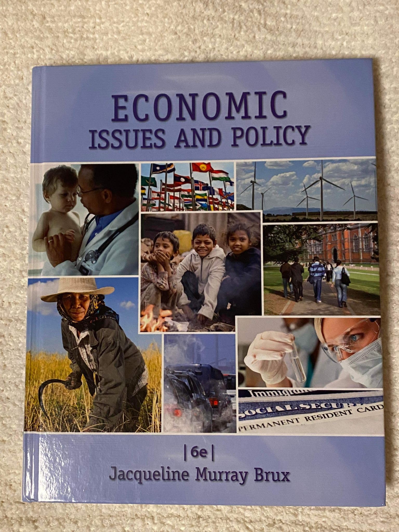 Economic Issues and Policy,Used