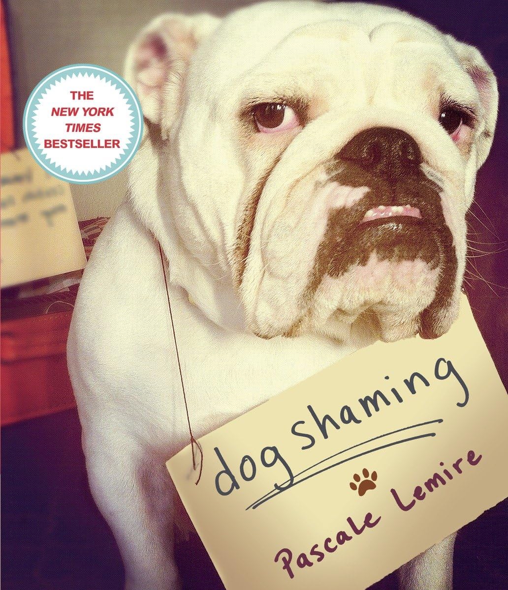 Dog Shaming,New