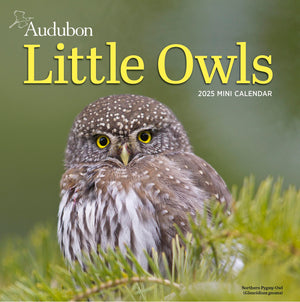 Audubon Little Owls Mini Wall Calendar 2025: A Year Of Fluffy And Round Owls