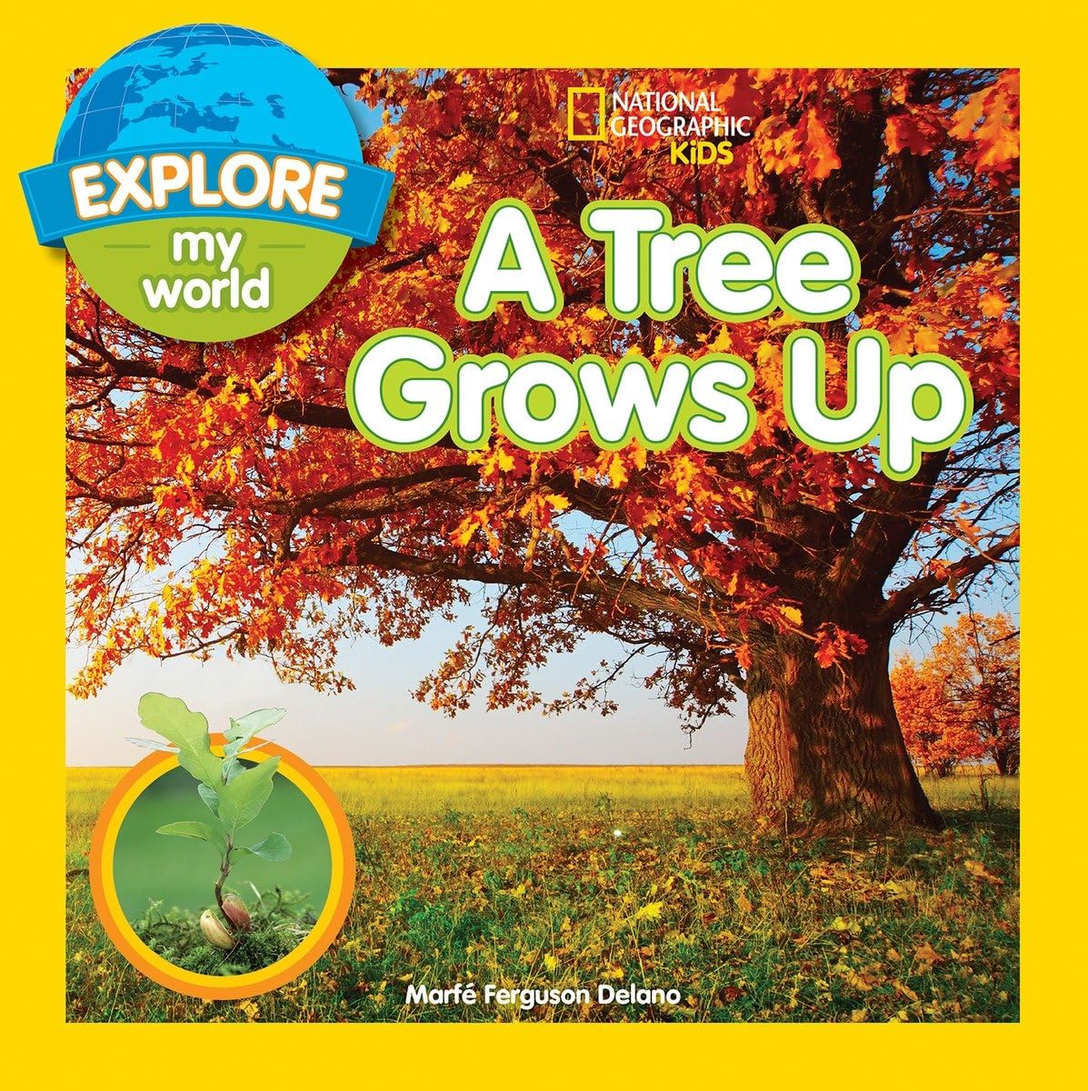 Explore My World A Tree Grows Up,Used