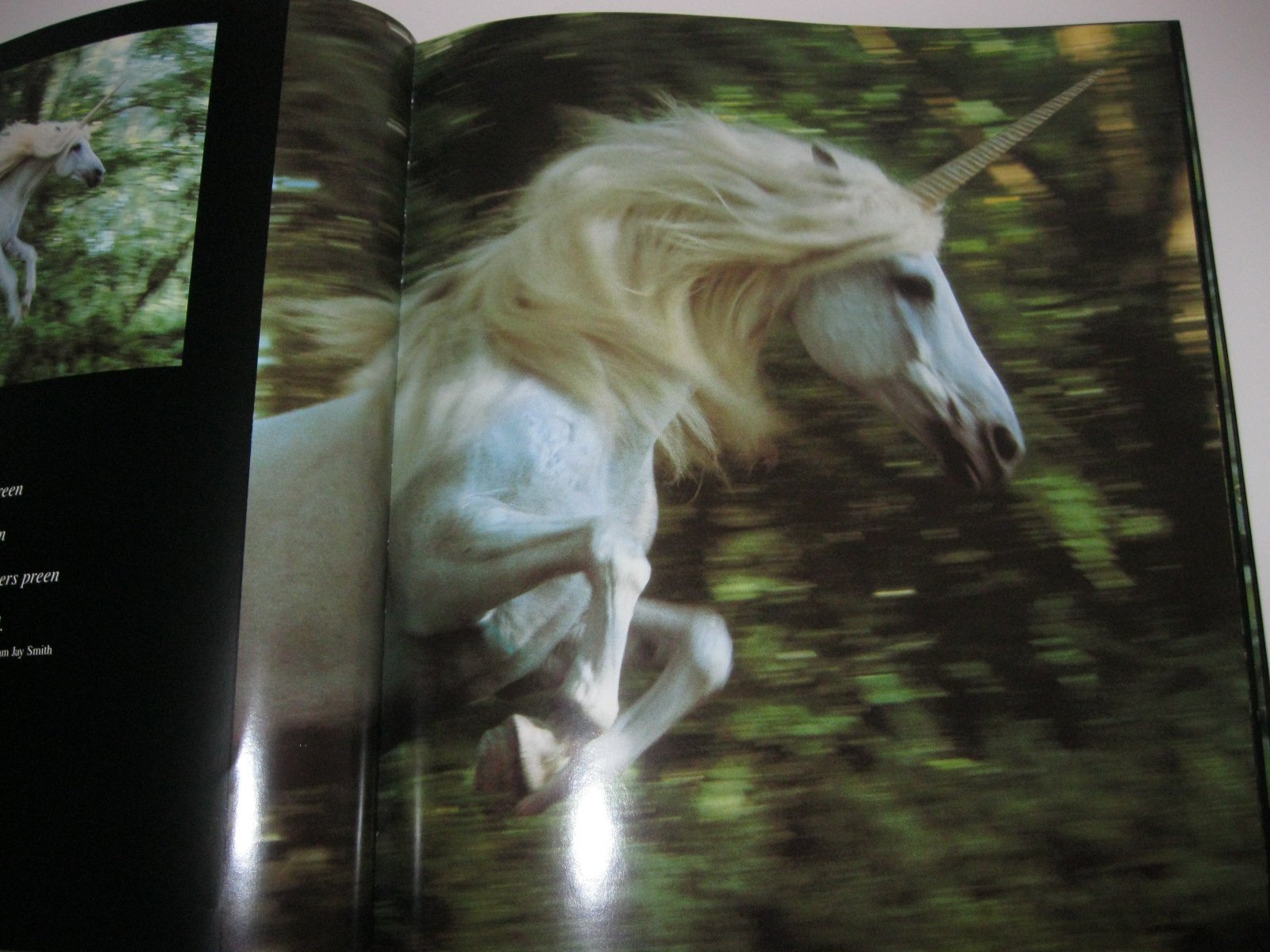 Unicorns I Have Known,New