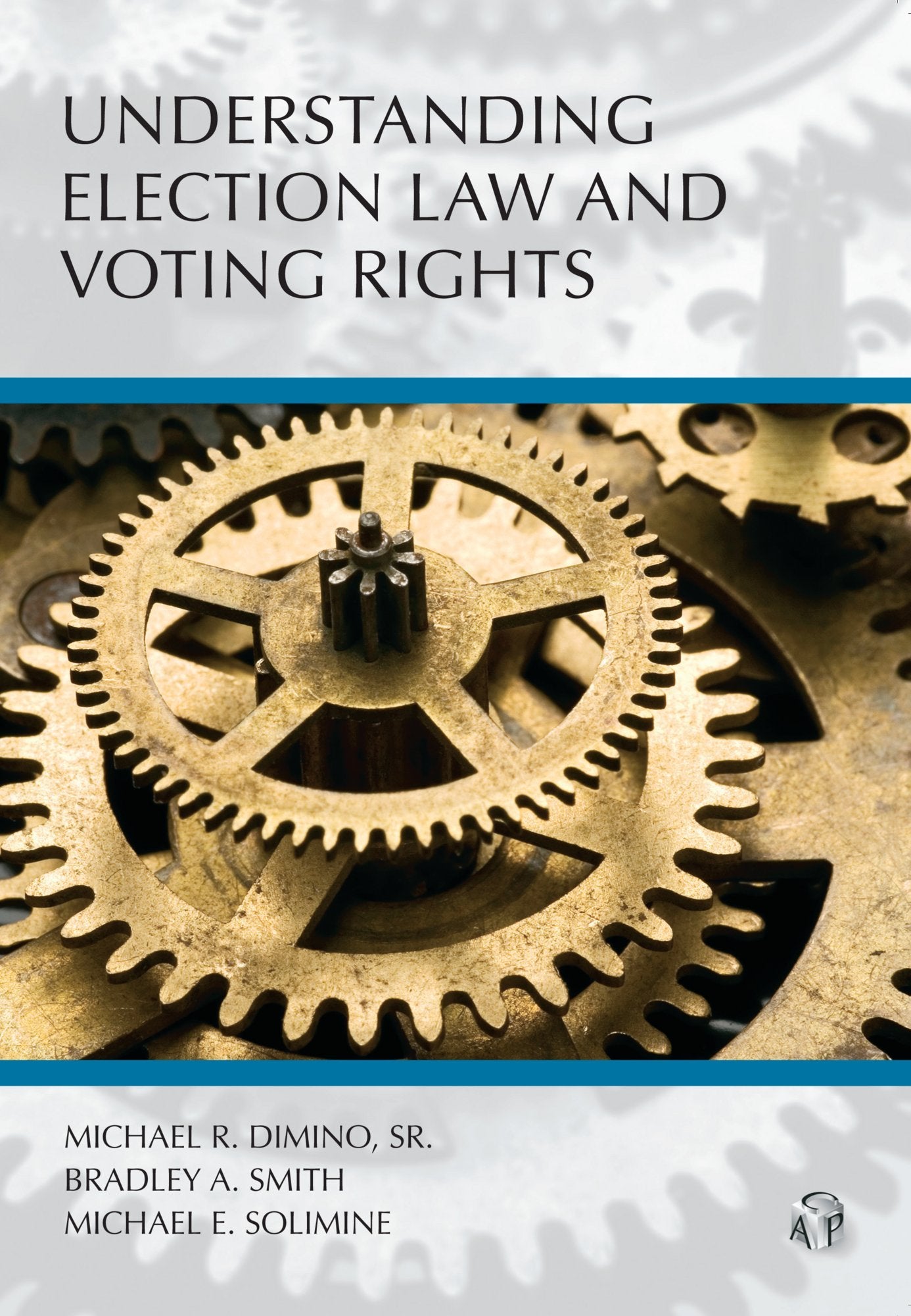 Understanding Election Law and Voting Rights (Understanding Series),Used