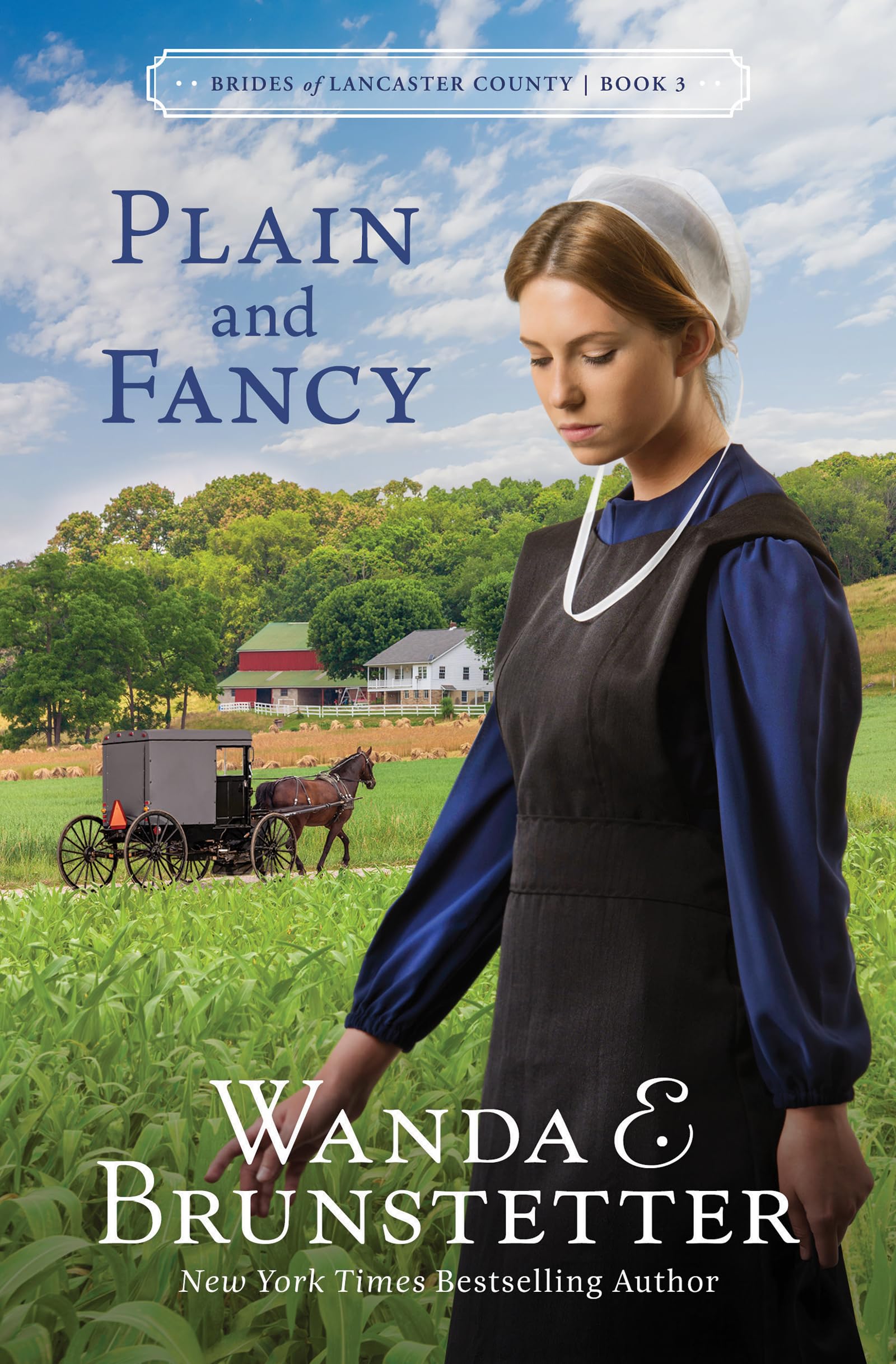 Plain and Fancy (Brides of Lancaster County, 3),Used