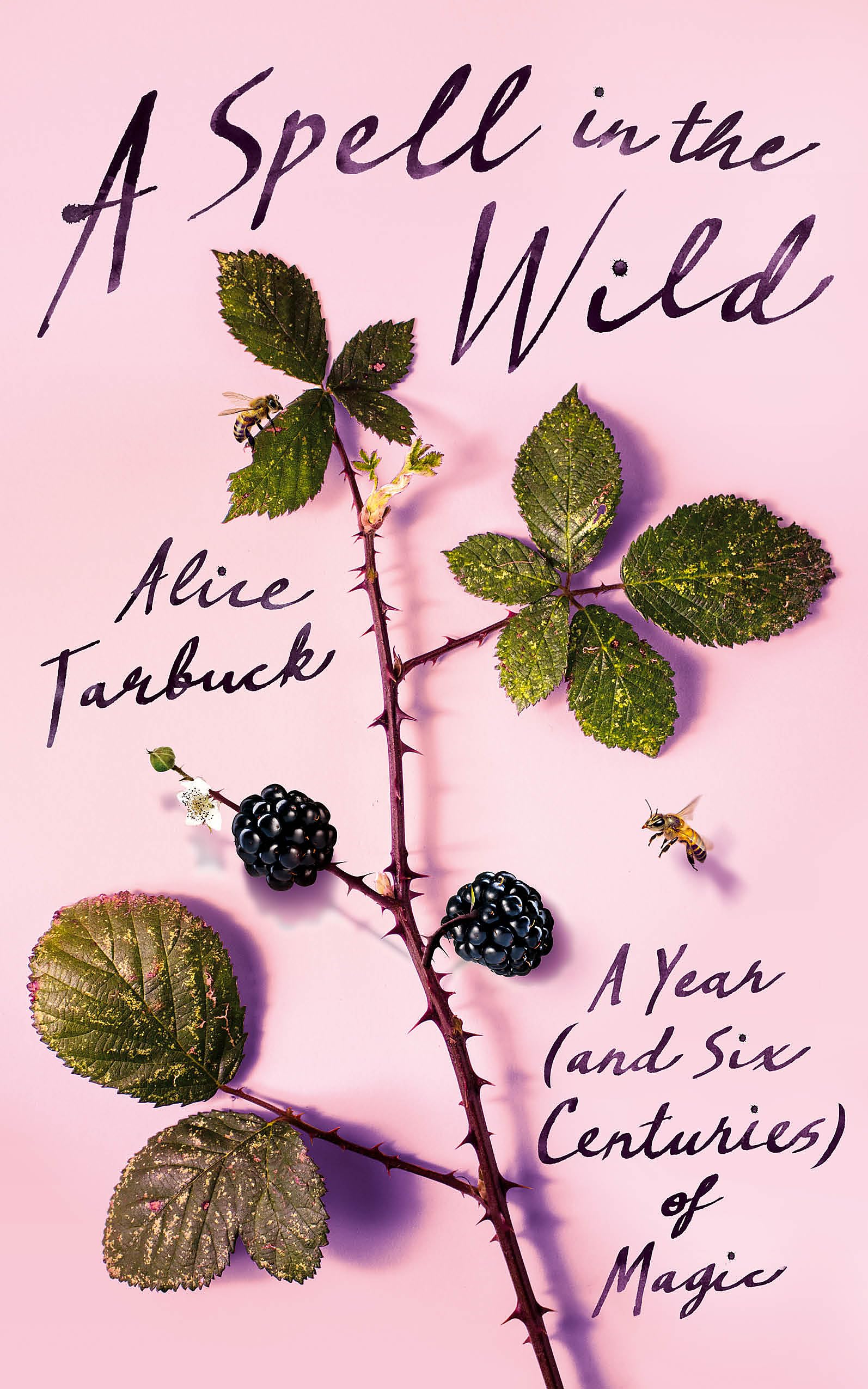 A Spell in the Wild: A Year (and six centuries) of Magic,Used