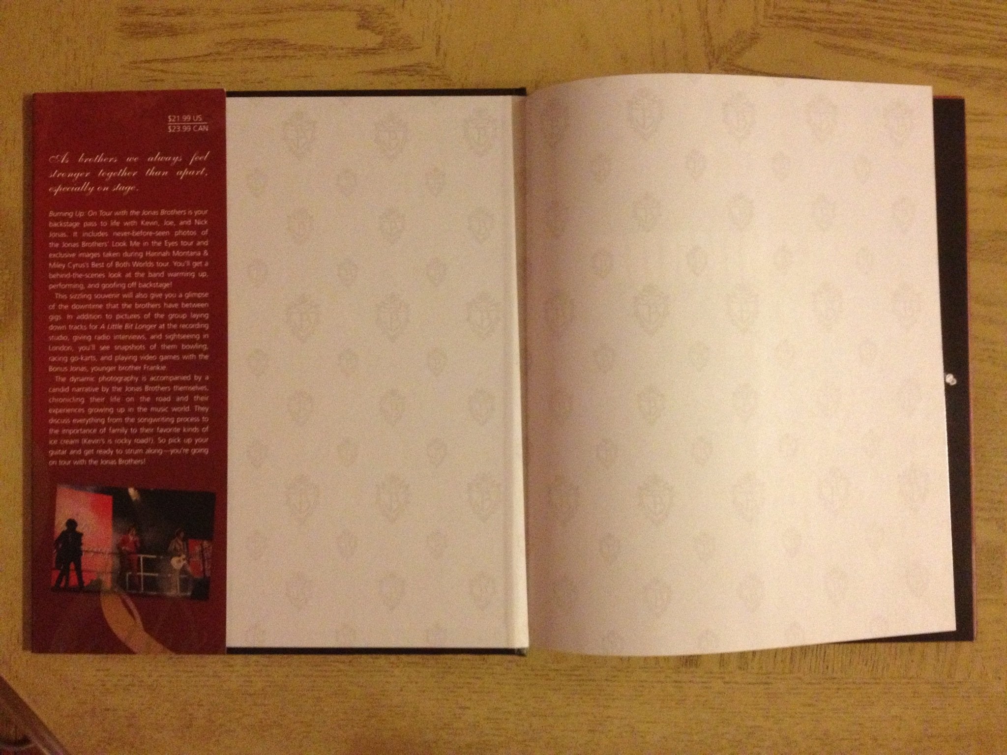 Burning Up: On Tour with the Jonas Brothers,New