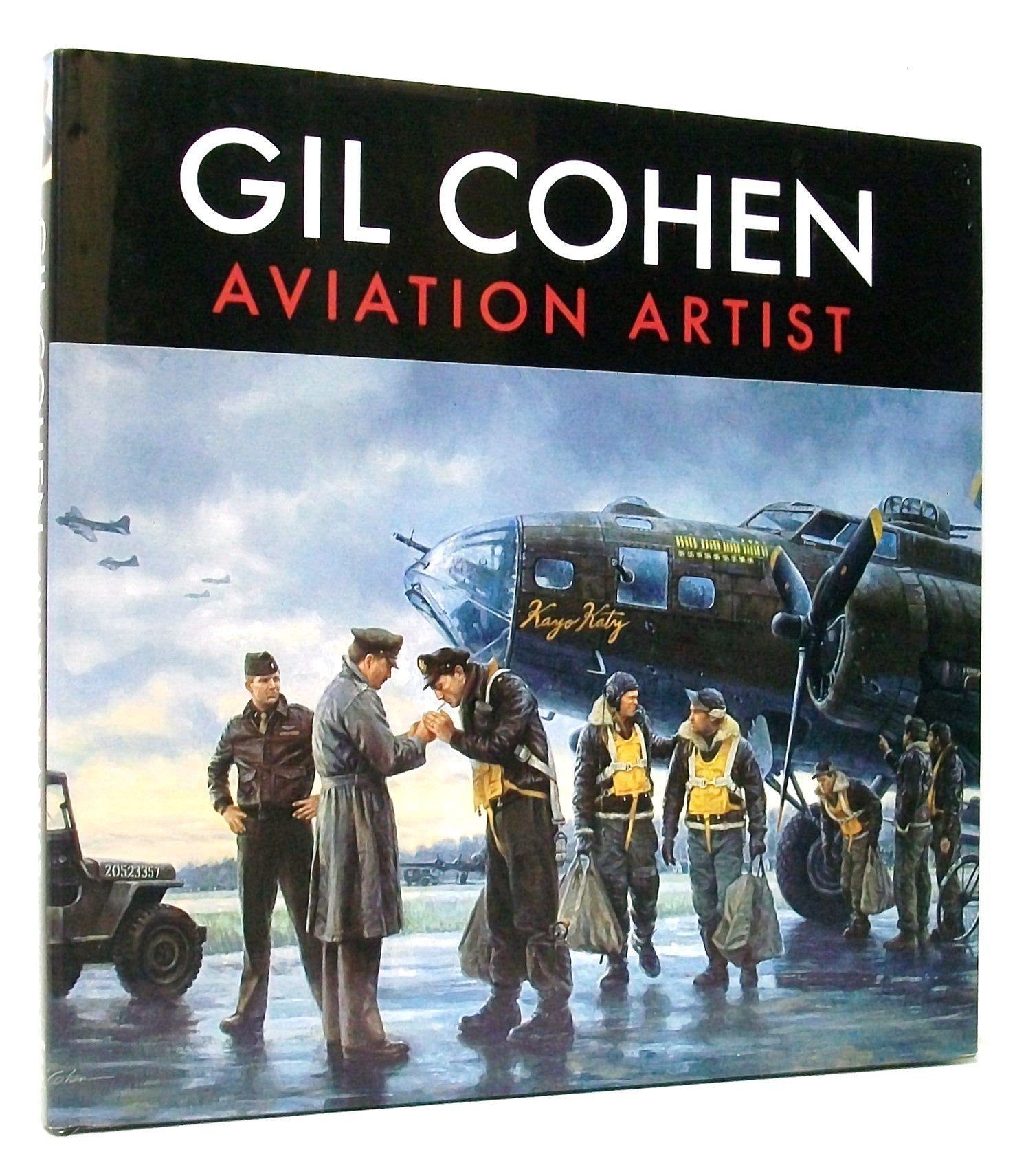 Gil Cohen: Aviation Artist,Used
