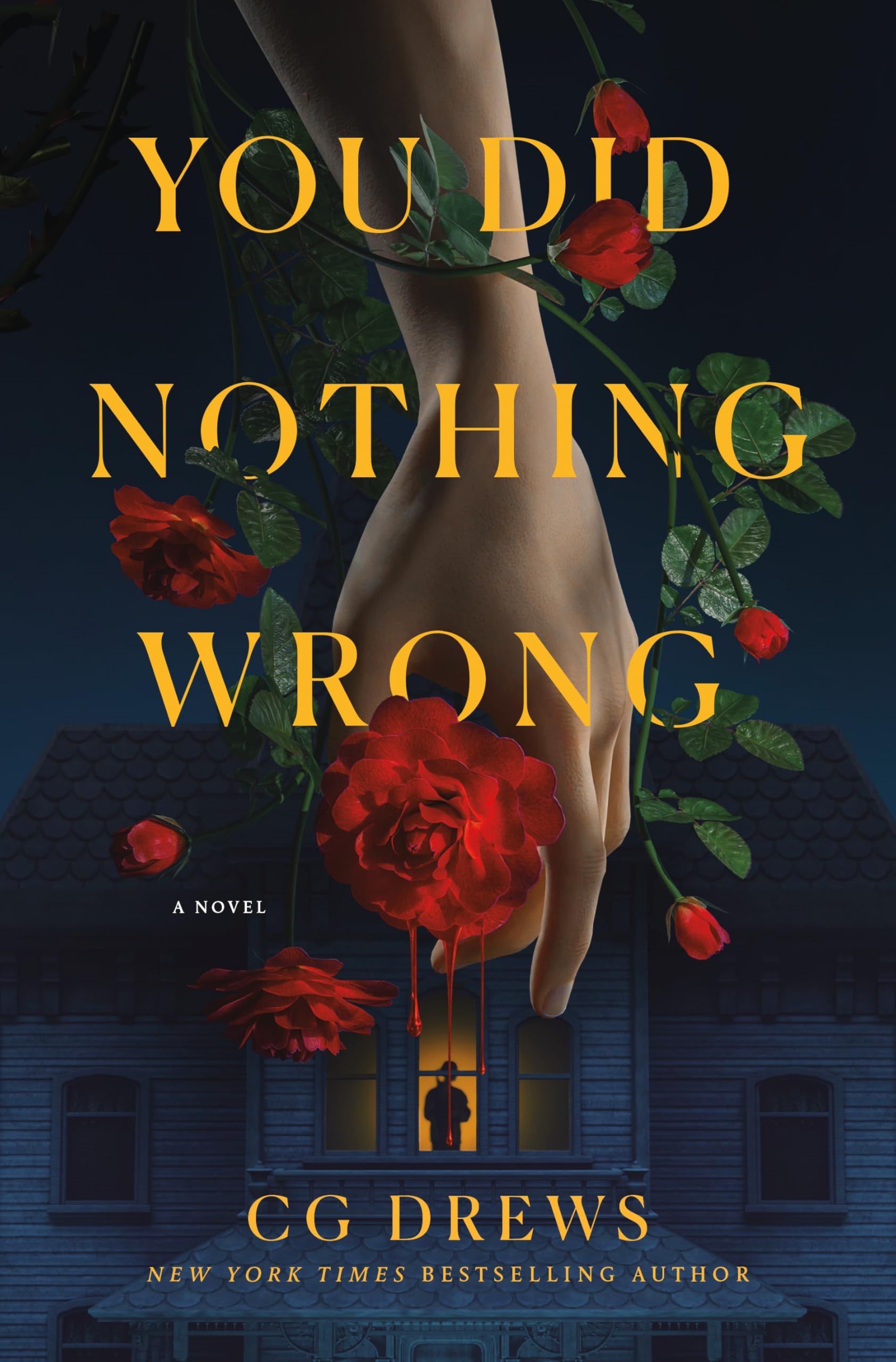 You Did Nothing Wrong: A Novel