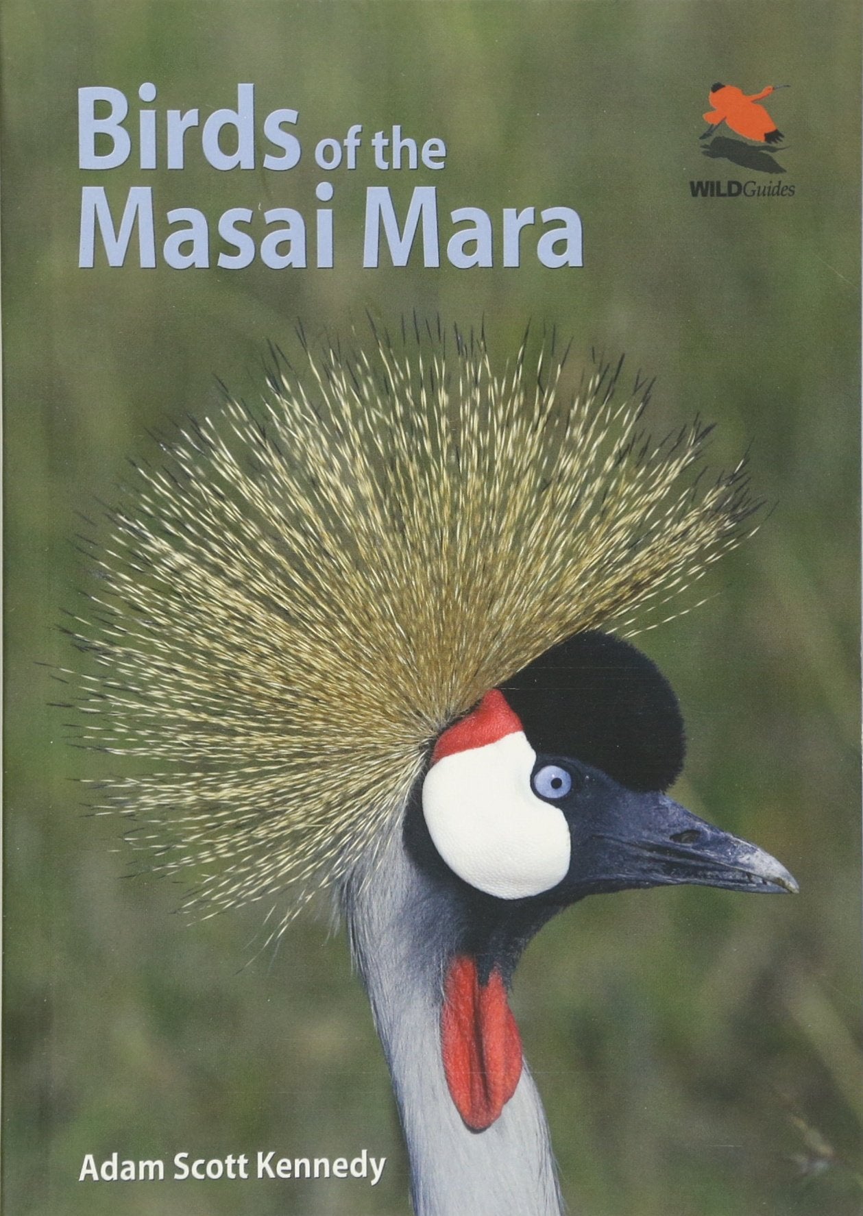 Birds Of The Masai Mara (Wildlife Explorer Guides, 4),New