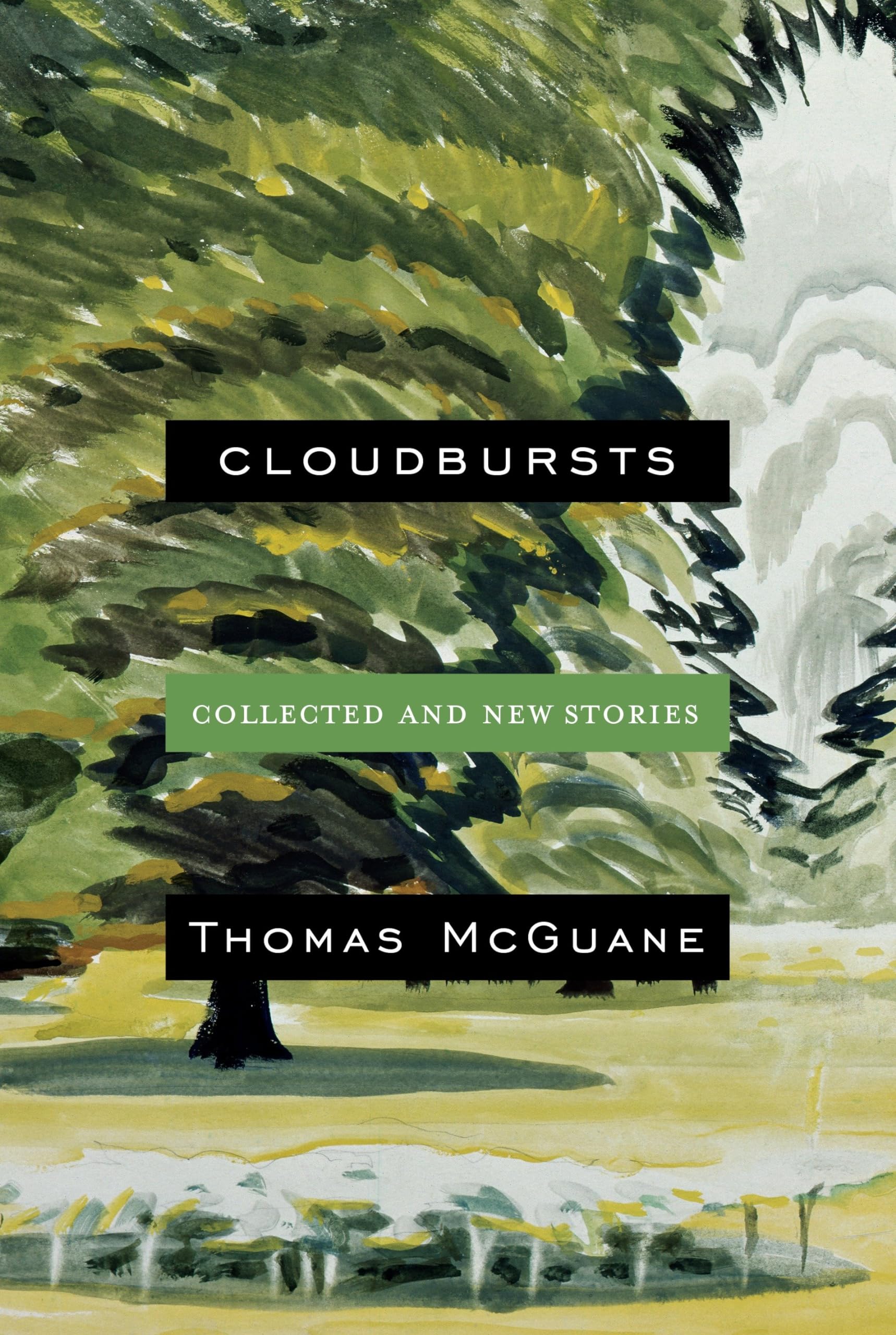 Cloudbursts: Collected and New Stories,Used