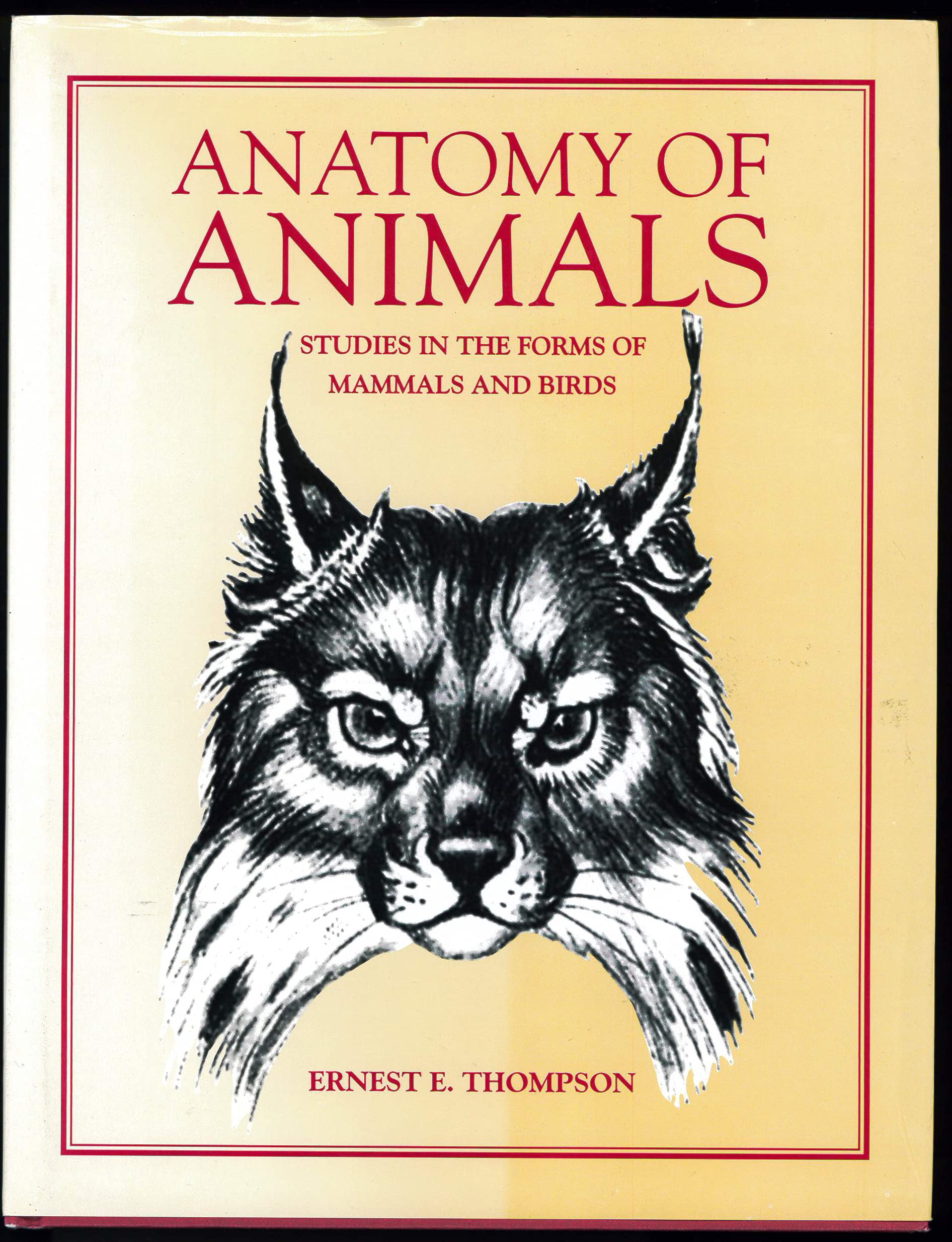Anatomy Of Animals: Studies In The Forms Of Mammals And Birds