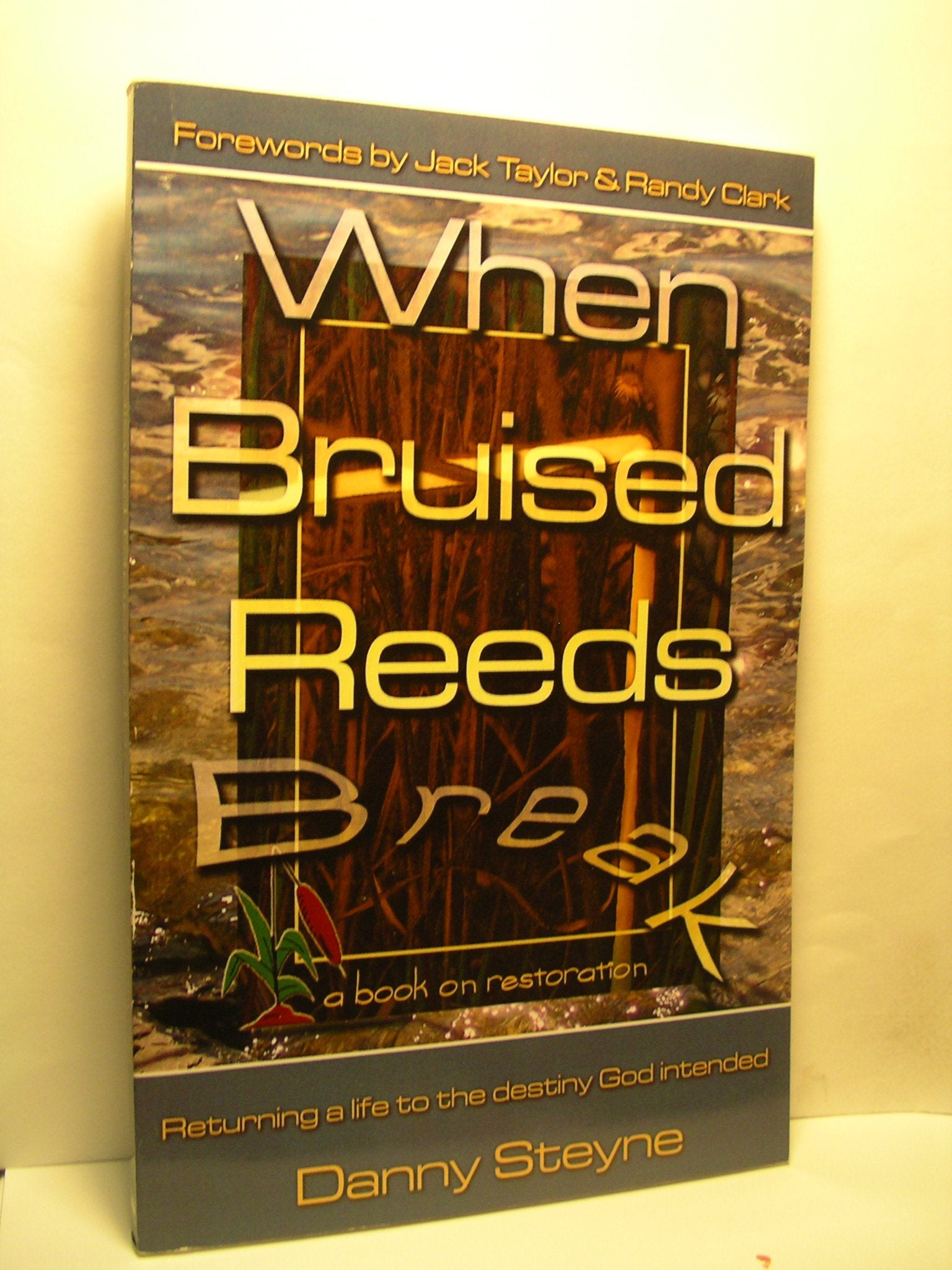 When Bruised Reeds Break, A Book on Restoration,Used