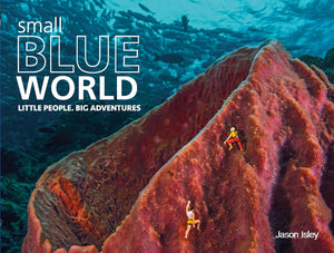 Small Blue World: Little People. Big Adventures,Used